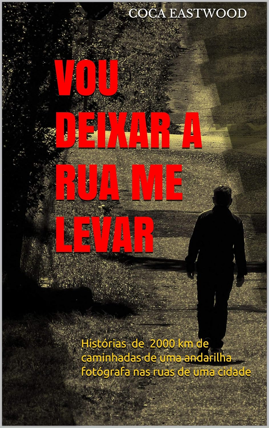 ler totalmente VOU DEIXAR A RUA ME LEVAR: Histórias de 2000 km de caminhadas de uma andarilha fotógrafa nas ruas de uma cidade
