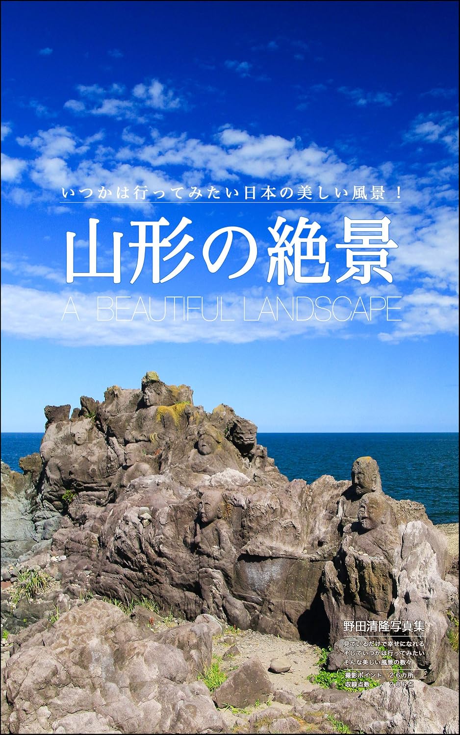 Amazing view of Yamagata: Beautiful scenery in Japan (Japanese Edition) baixar o livro de graça