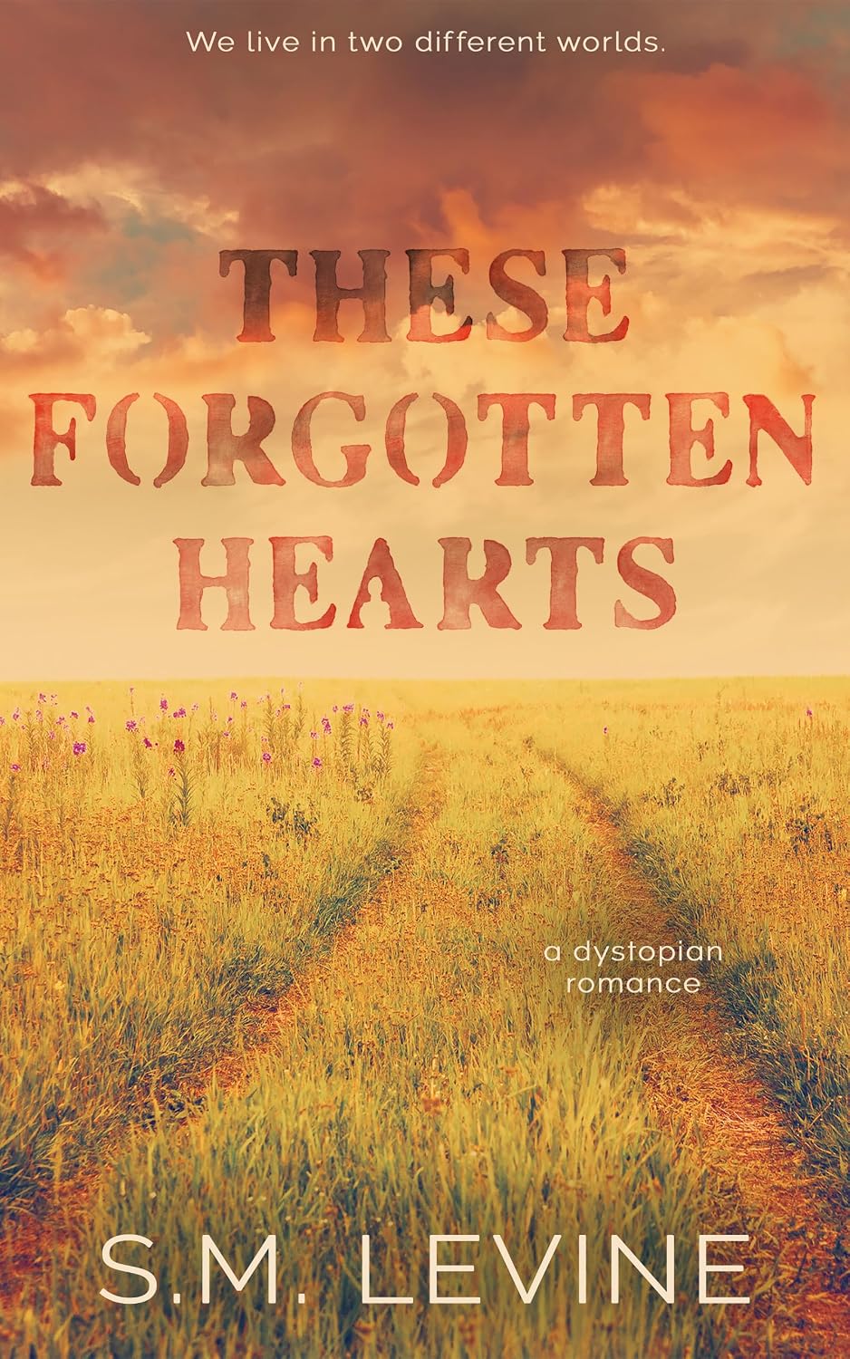 ler totalmente These Forgotten Hearts: A dystopian romance (English Edition)