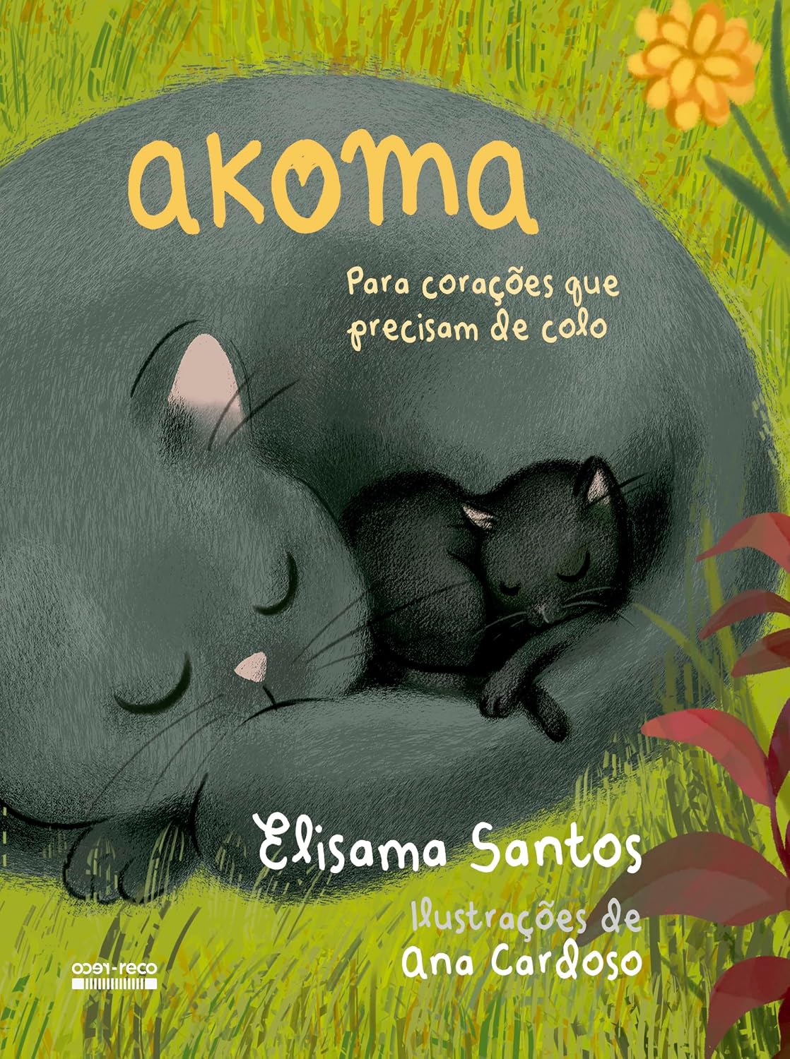 ler totalmente Akoma