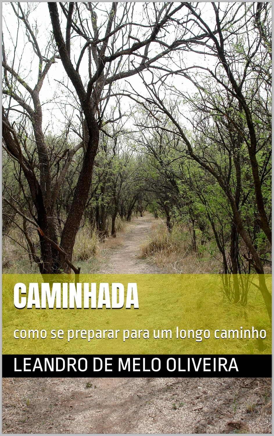 Caminhada: como se preparar para um longo caminho baixar o livro de graça