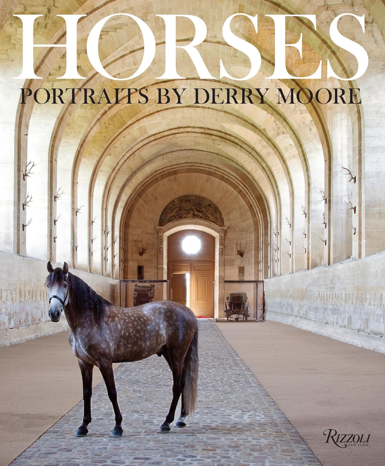 Horses: Portraits by Derry Moore baixar o livro de graça