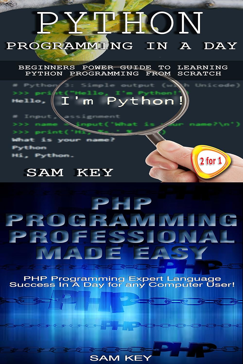 capítulo por capítulo baixar Programming #39:Python Programming In A Day & PHP Programming Professional Made Easy (Python Programming, Python Language, Python for beginners, Android... Android, C Programming) (English Edition)