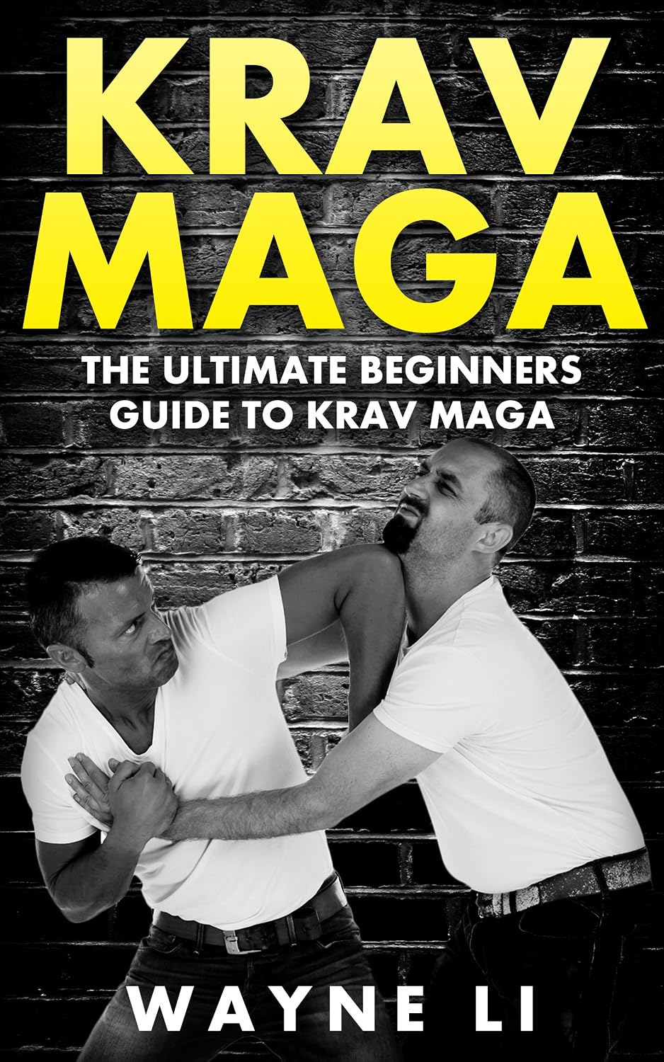 Krav Maga: The Ultimate Beginners Guide To Krav Maga (English Edition) baixar livro de graça