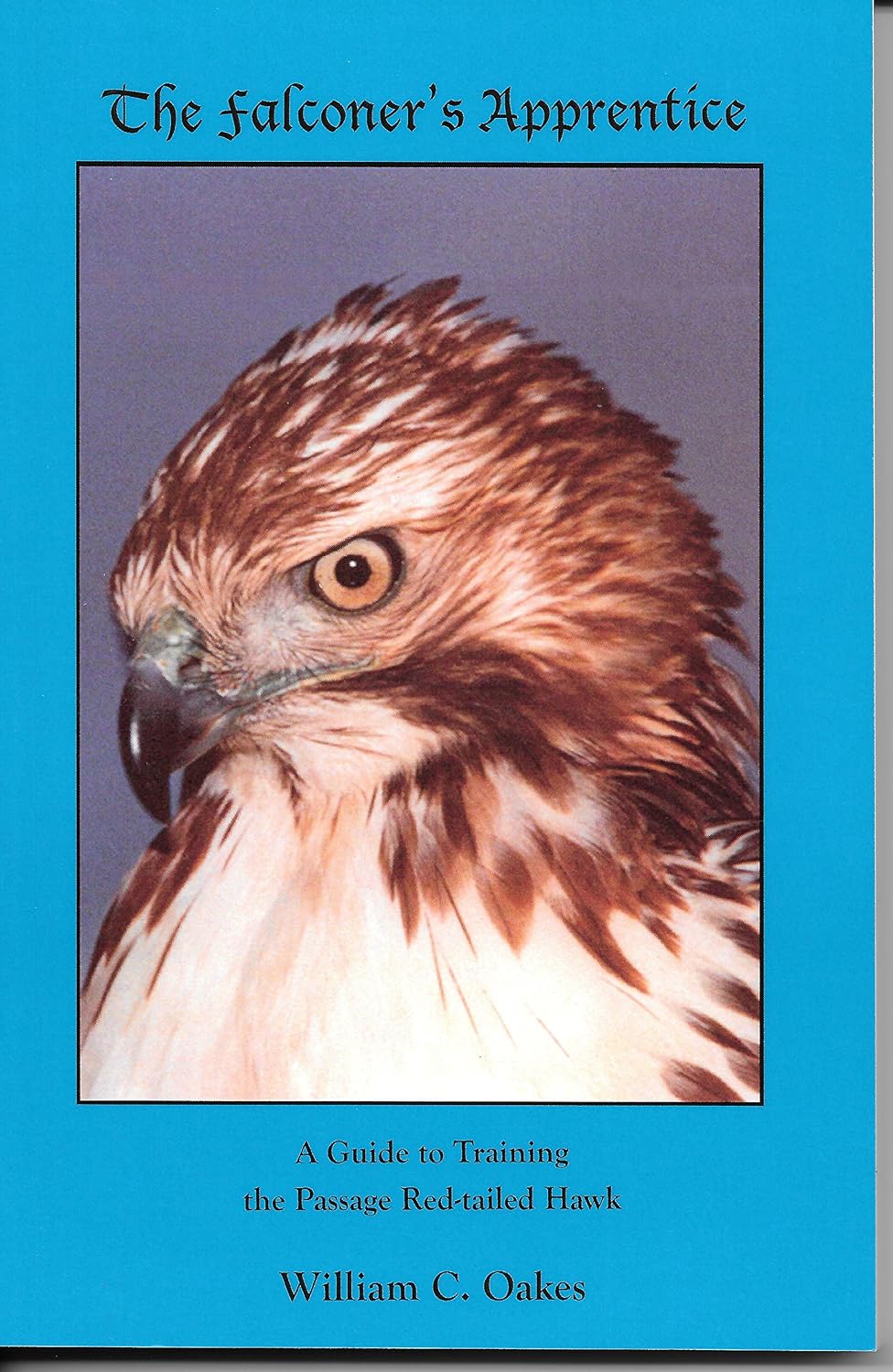 ler totalmente The Falconer's Apprentice: A Guide to Training the Passage Red-Tailed Hawk (The Falconer's Apprentice Series Book 1) (English Edition)