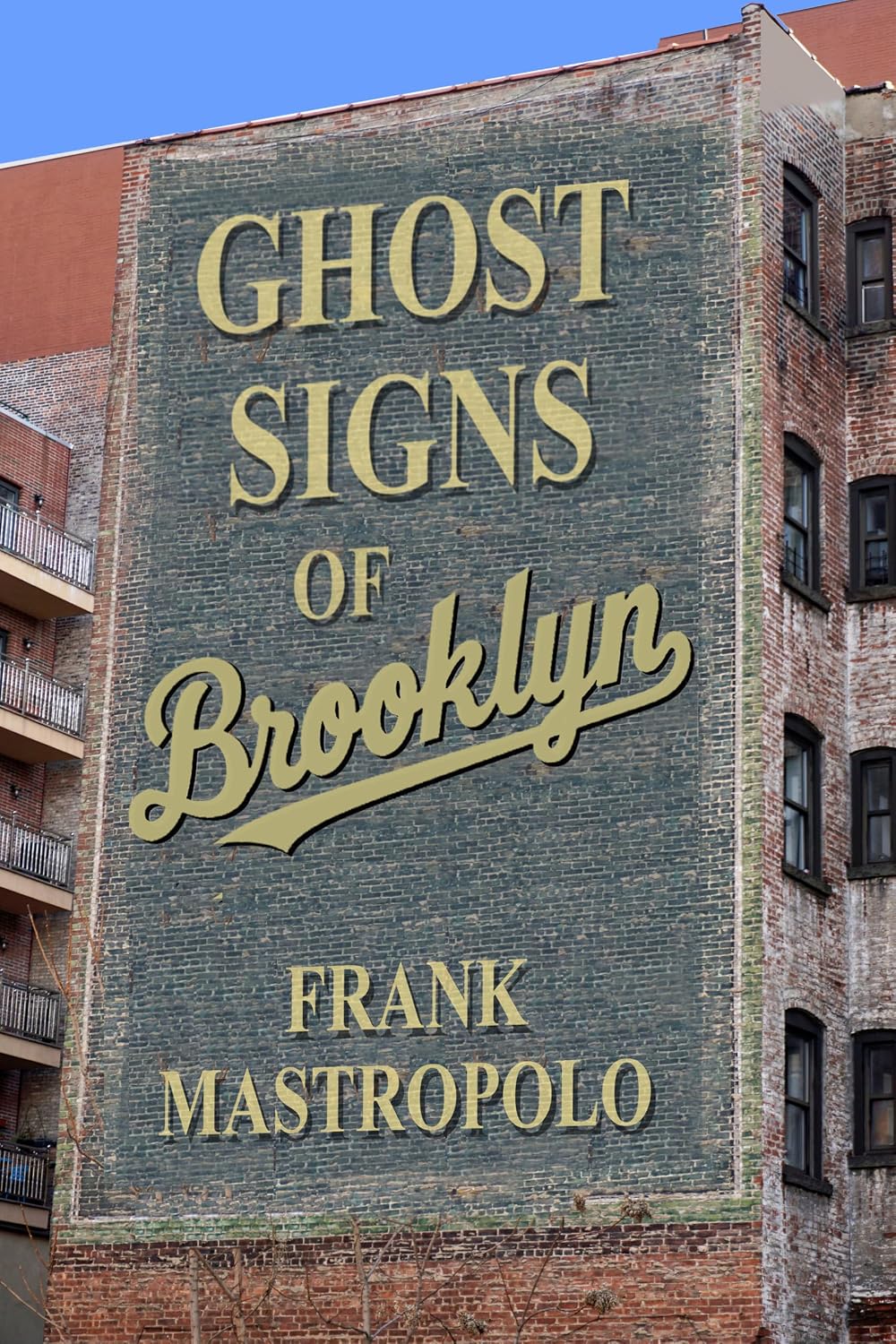 Ghost Signs of Brooklyn: Clues to New York's Past (English Edition) baixar o livro de graça