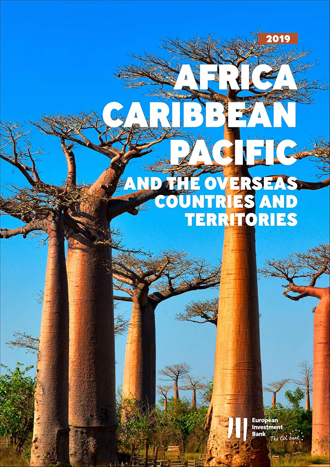 EIB Activity in Africa, Caribbean, Pacific and the Overseas Countries and Territories: Annual Report 2019 (English Edition)