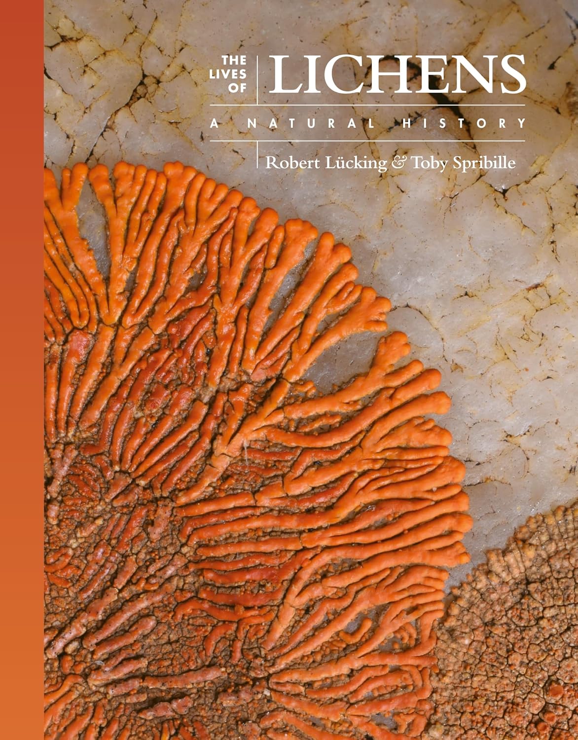 capítulo por capítulo baixar The Lives of Lichens: A Natural History: 10
