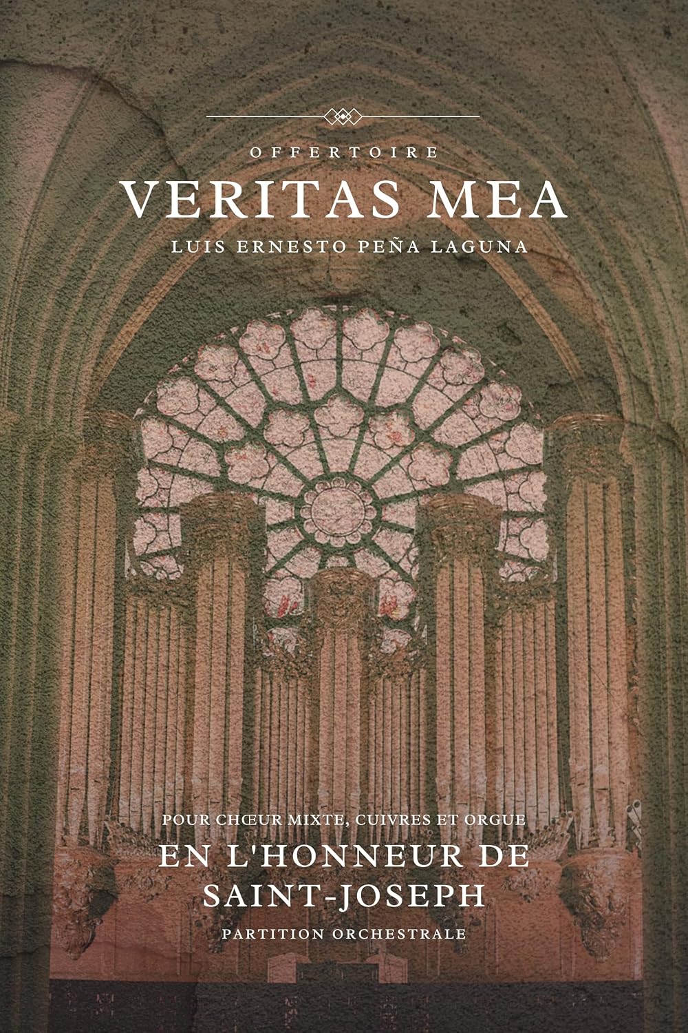 ler totalmente Veritas mea: Chœur mixte, cuivres et orgue (French Edition)
