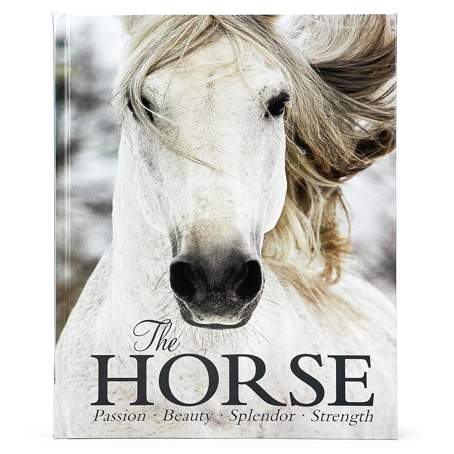 The Horse baixar o livro de graça