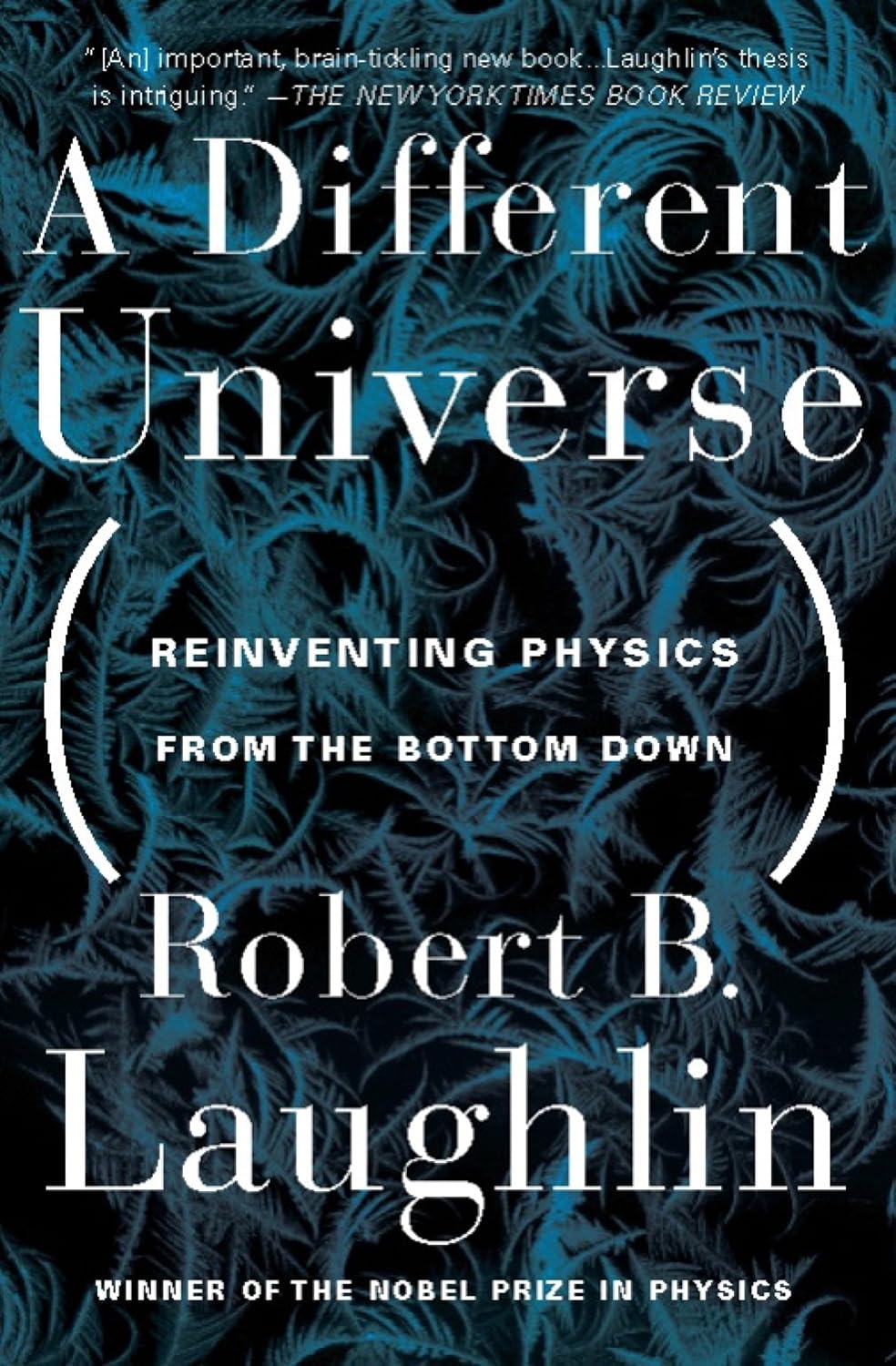 capítulo por capítulo baixar A Different Universe: Reinventing Physics From the Bottom Down (English Edition)