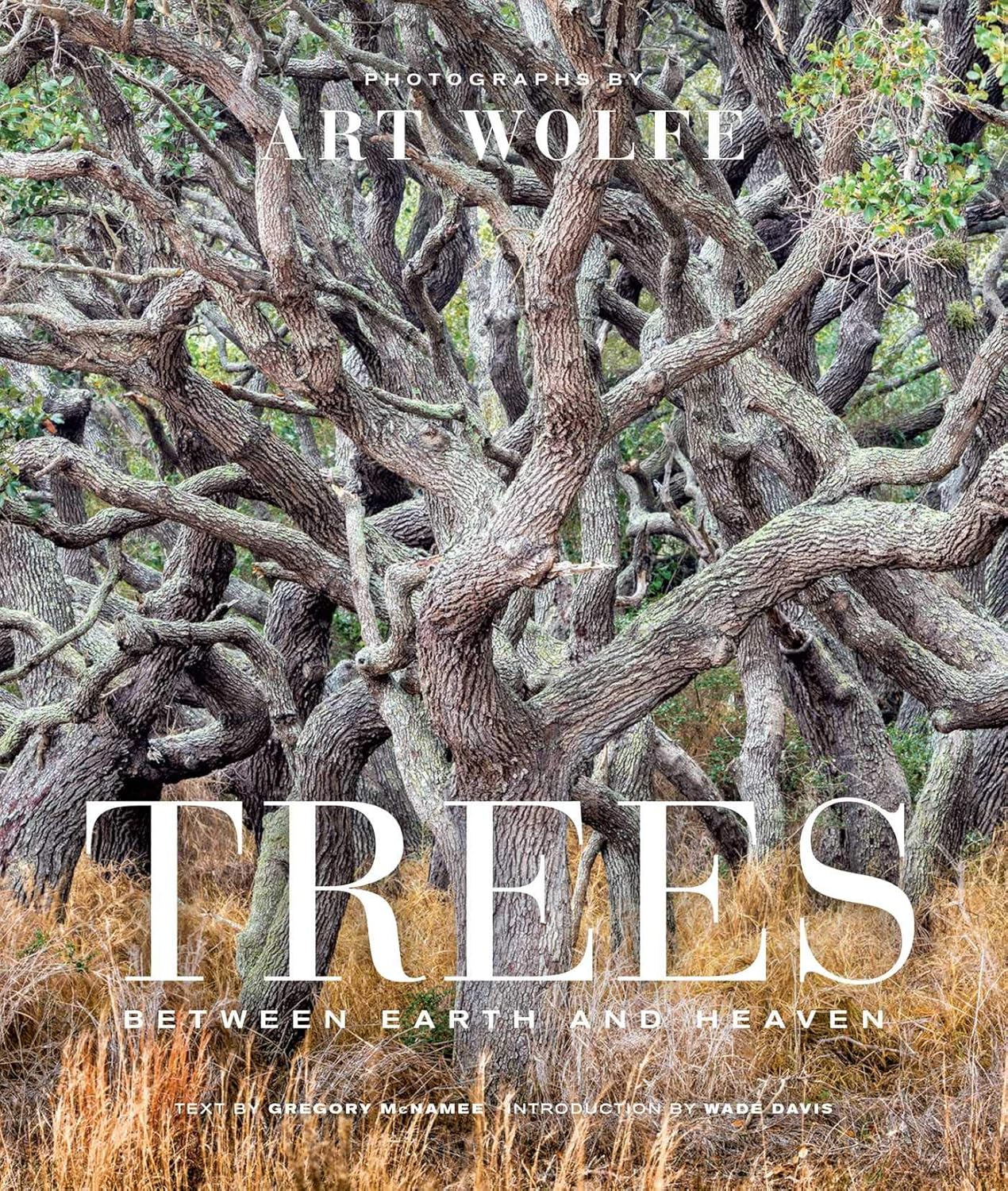 ler totalmente Trees (Gift Edition): Between Earth and Heaven