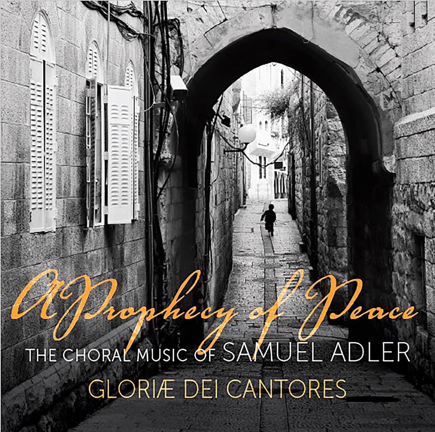 A Prophecy of Peace: The Choral Music of Samuel Adler baixar o livro de graça