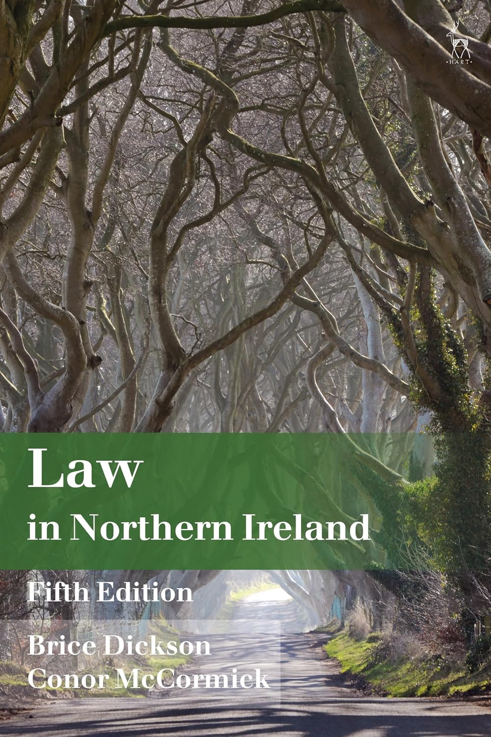 Law in Northern Ireland (English Edition) baixar o livro de graça