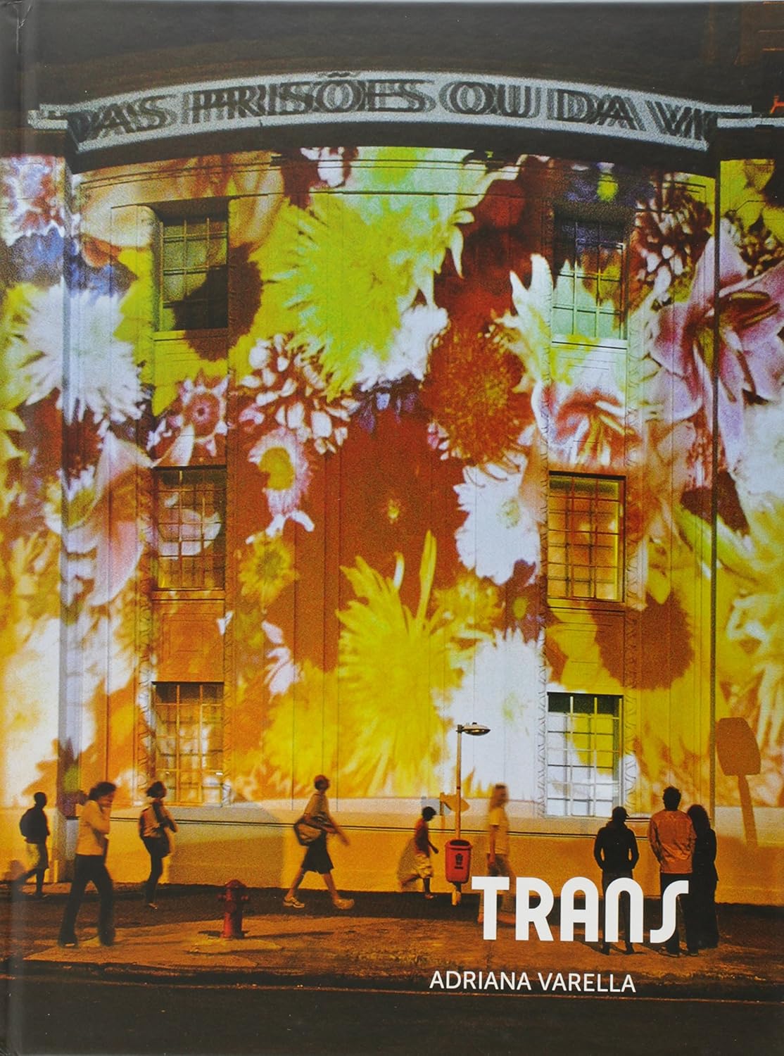 Trans baixar o livro de graça