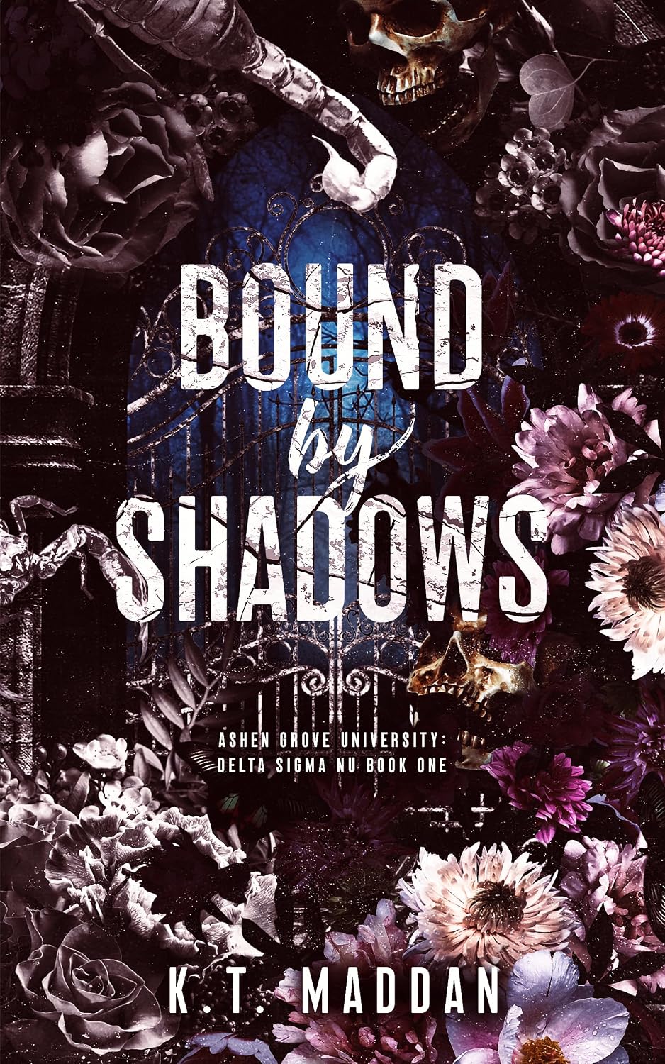 Bound By Shadows: Delta Sigma Nu Book One (Ashen Grove University 1) (English Edition) baixar livro de graça