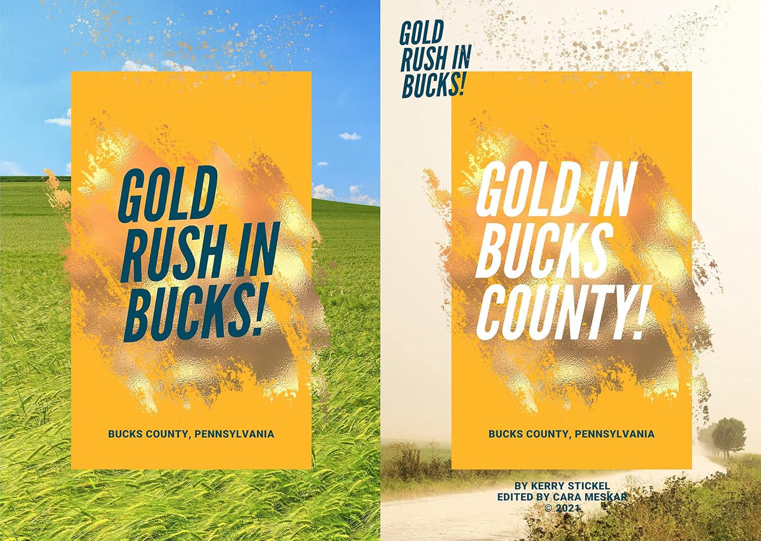 Gold in Bucks County (English Edition)
