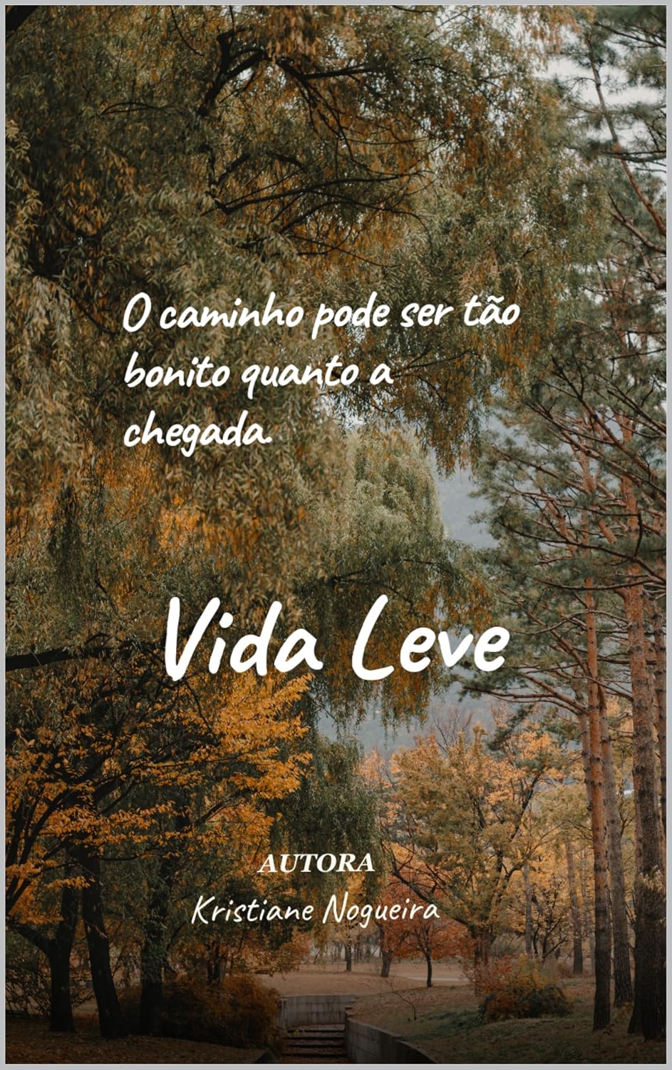 Vida Leve: O caminho pode ser tão bonito,quanto a chegada! baixar o livro de graça