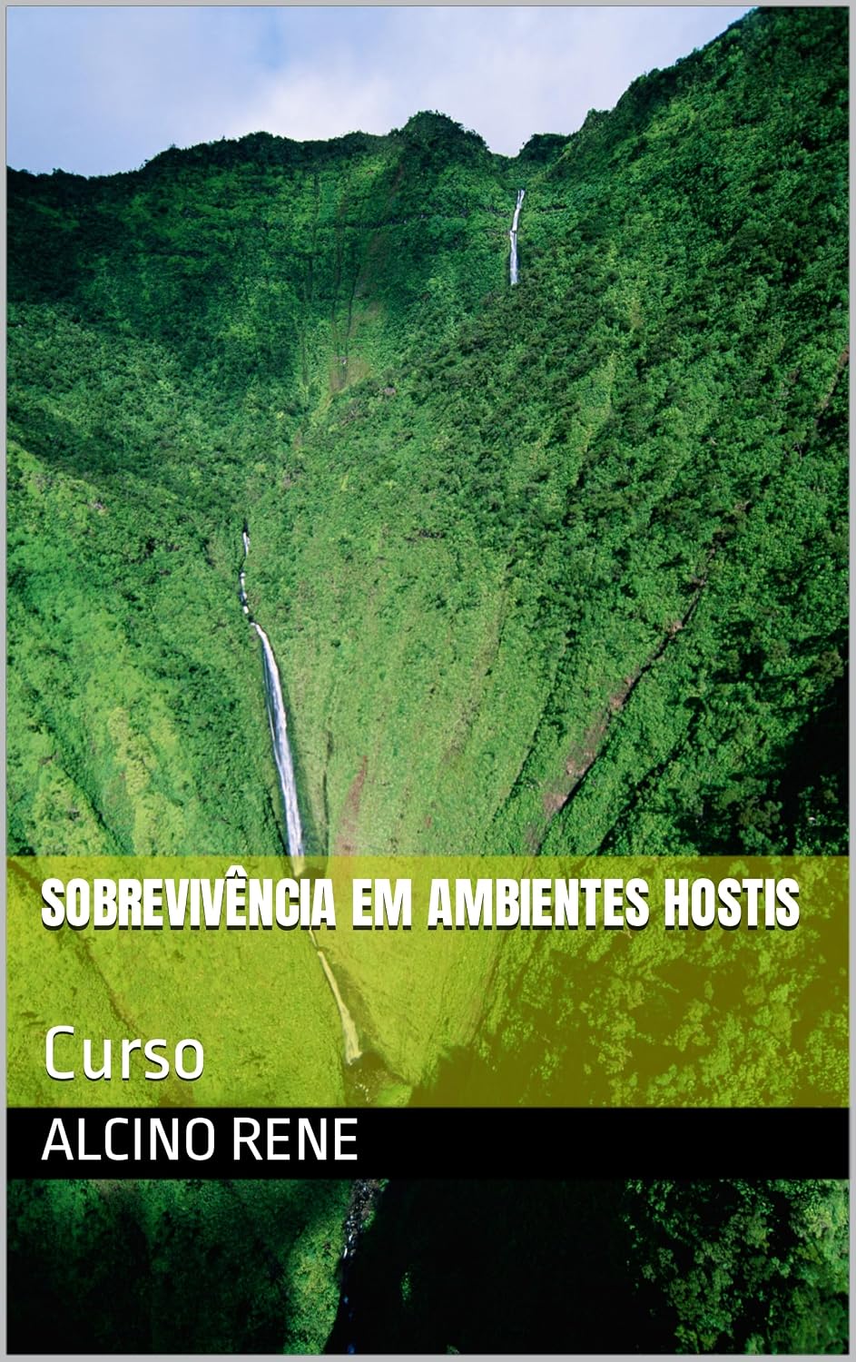 ler totalmente Sobrevivência em ambientes hostis: Curso