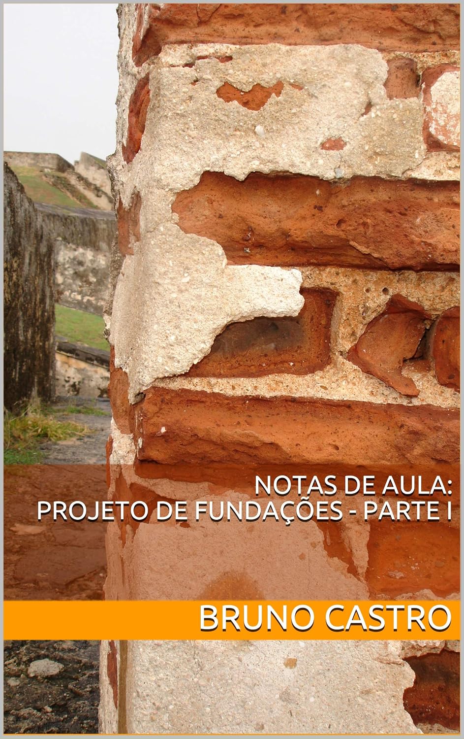 capítulo por capítulo baixar Notas de Aula: Projeto de Fundações Parte I (FACILITANDO Livro 1)
