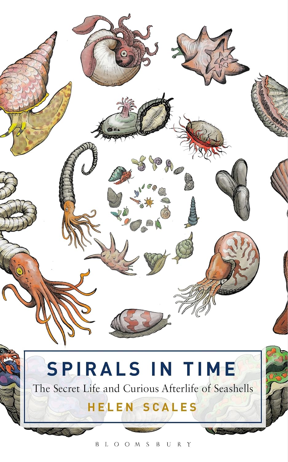 capítulo por capítulo baixar Spirals in Time: The Secret Life and Curious Afterlife of Seashells (English Edition)