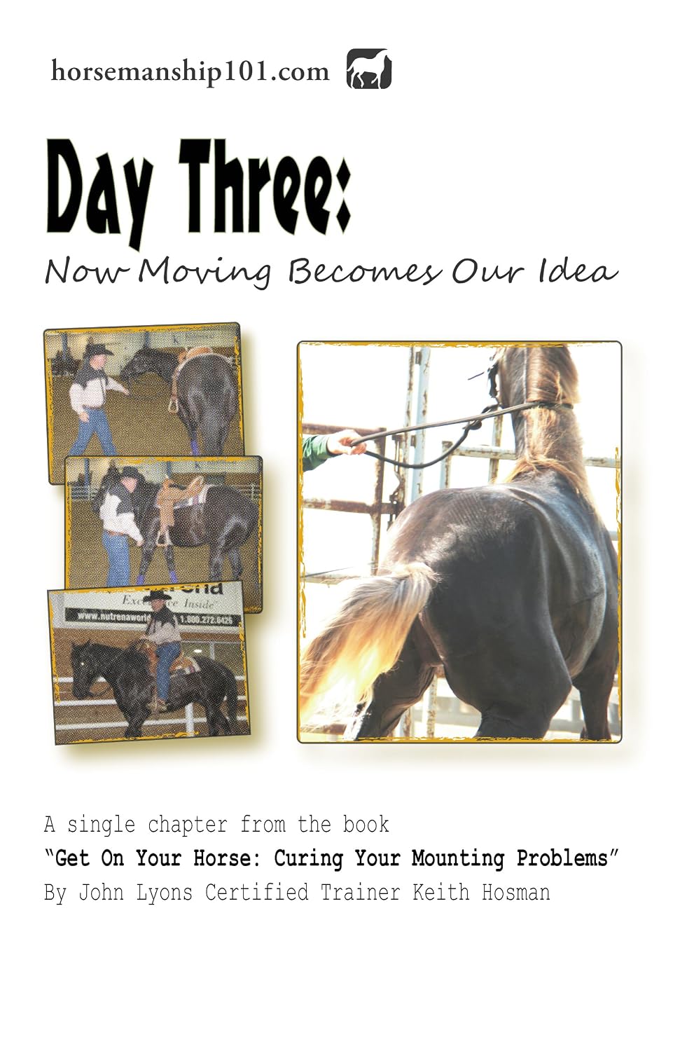 Day Three: Now Moving Becomes Our Idea (Curing Your Mounting Problems Book 3) (English Edition) baixar livro de graça