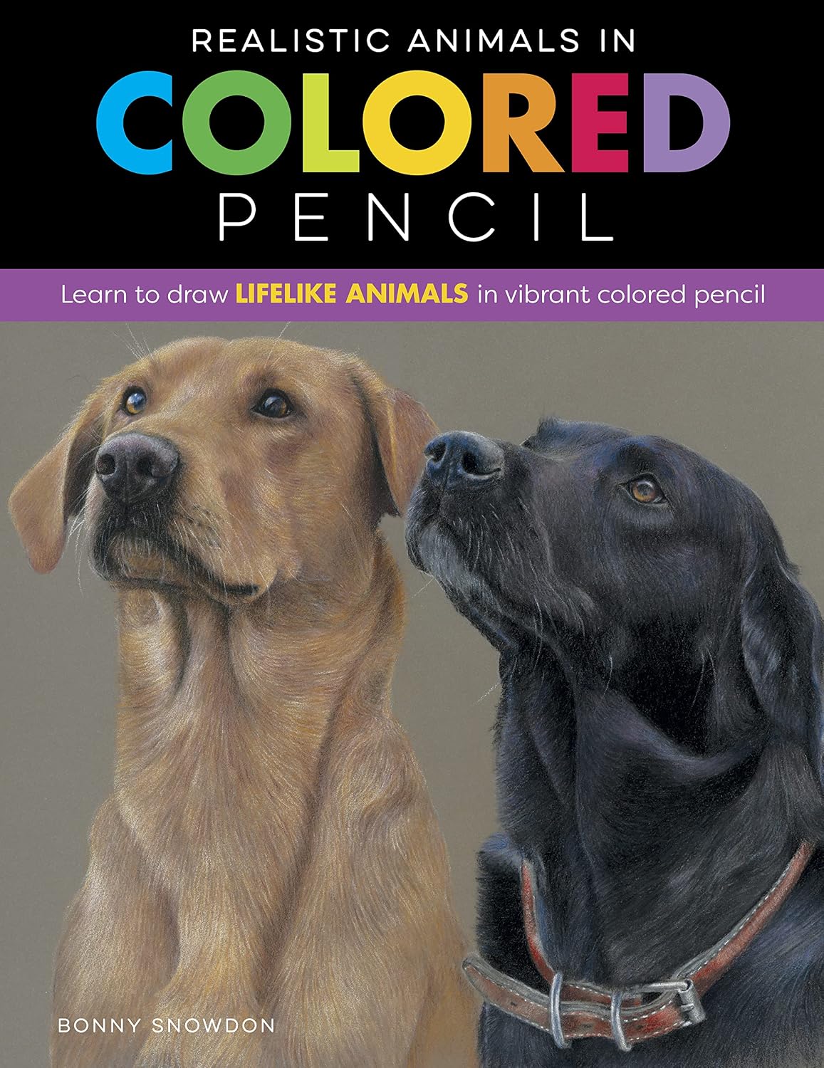 Realistic Animals in Colored Pencil: Learn to draw lifelike animals in vibrant colored pencil (Realistic Series) (English Edition) baixar o livro de graça