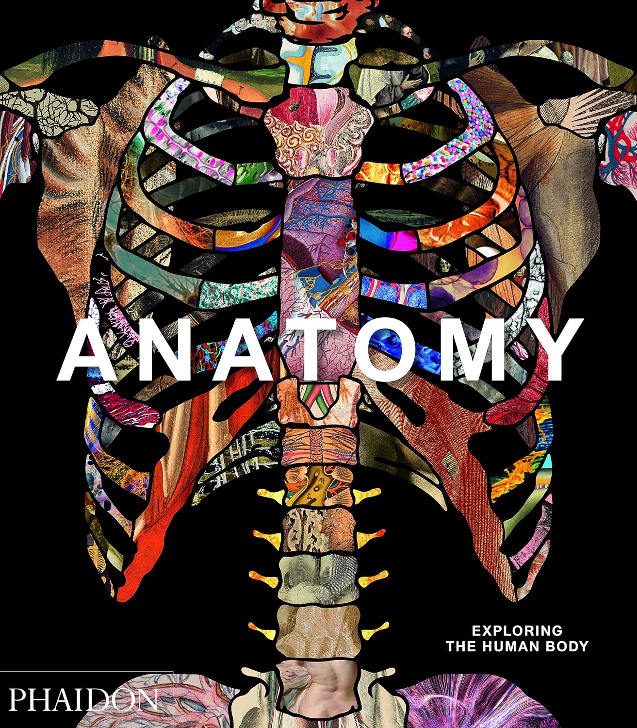 Anatomy: Exploring the Human Body