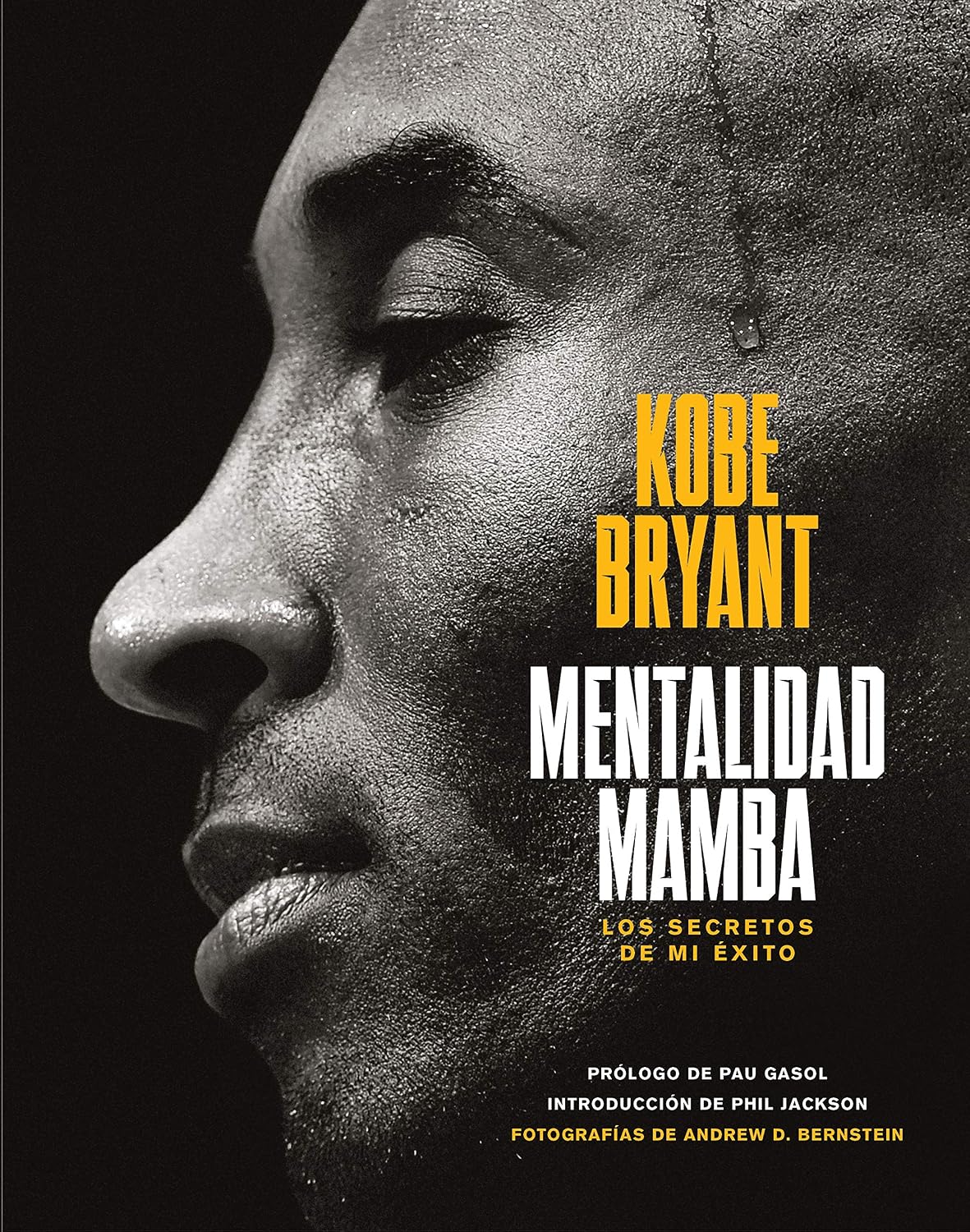 Mentalidad mamba: Los secretos de mi éxito baixar livro de graça