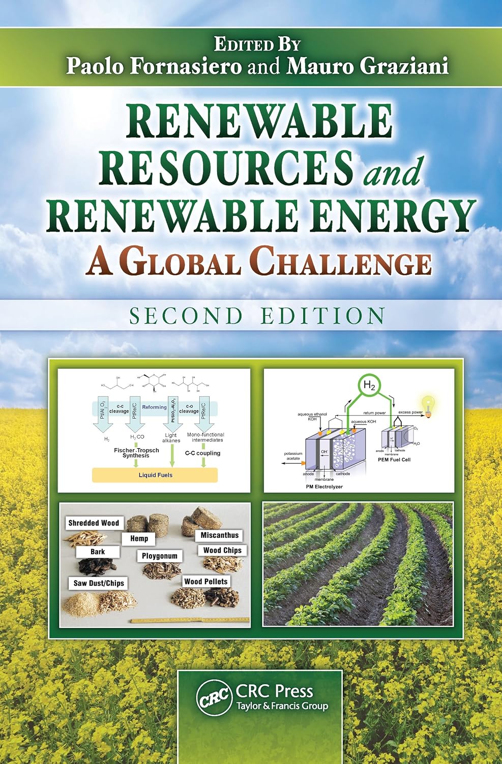 ler totalmente Renewable Resources and Renewable Energy: A Global Challenge, Second Edition (English Edition)