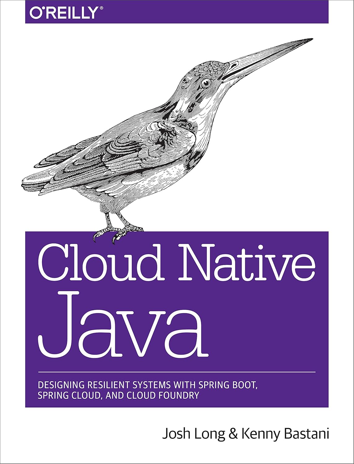 capítulo por capítulo baixar Cloud Native Java: Designing Resilient Systems with Spring Boot, Spring Cloud, and Cloud Foundry