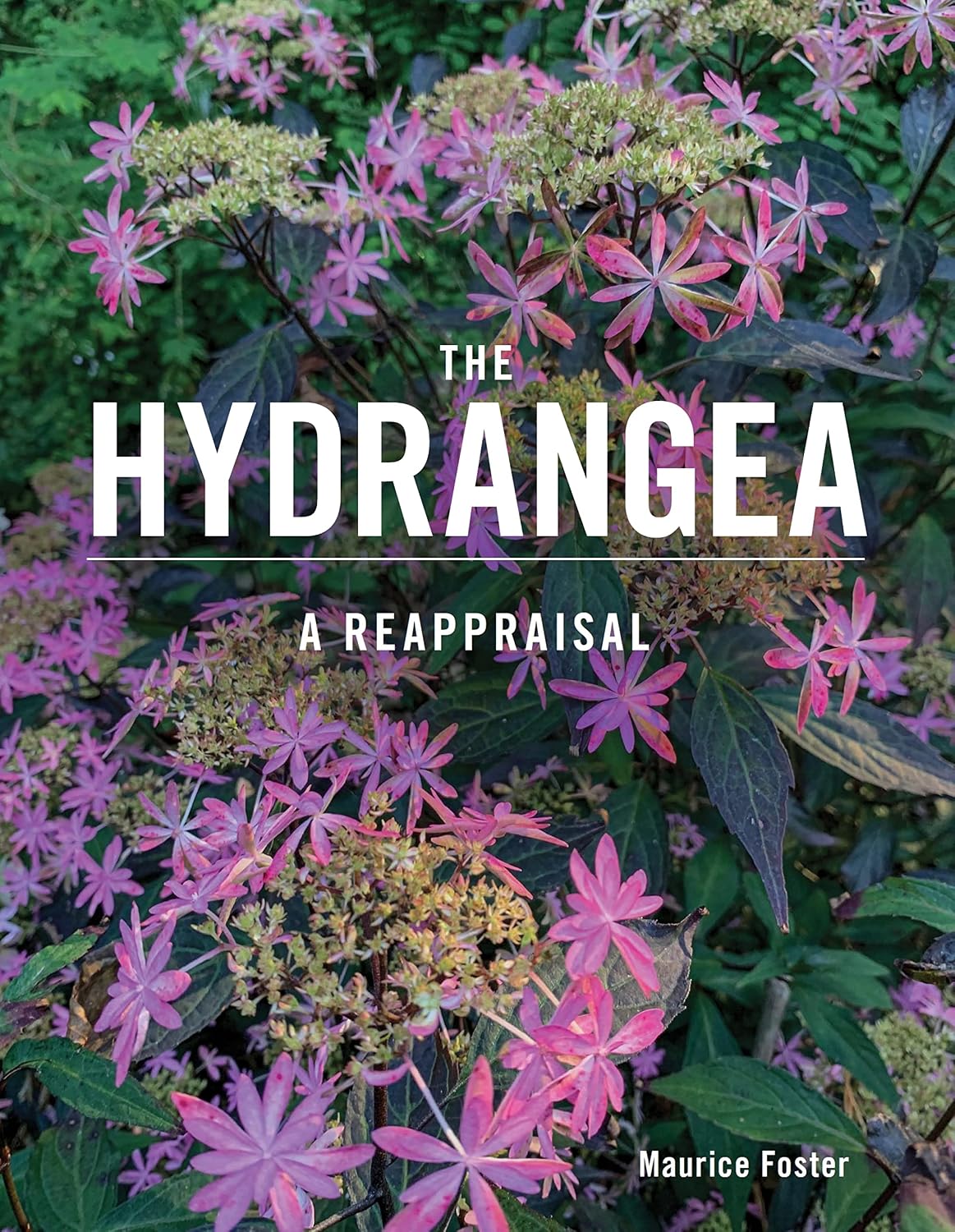 capítulo por capítulo baixar The Hydrangea: A Reappraisal (English Edition)