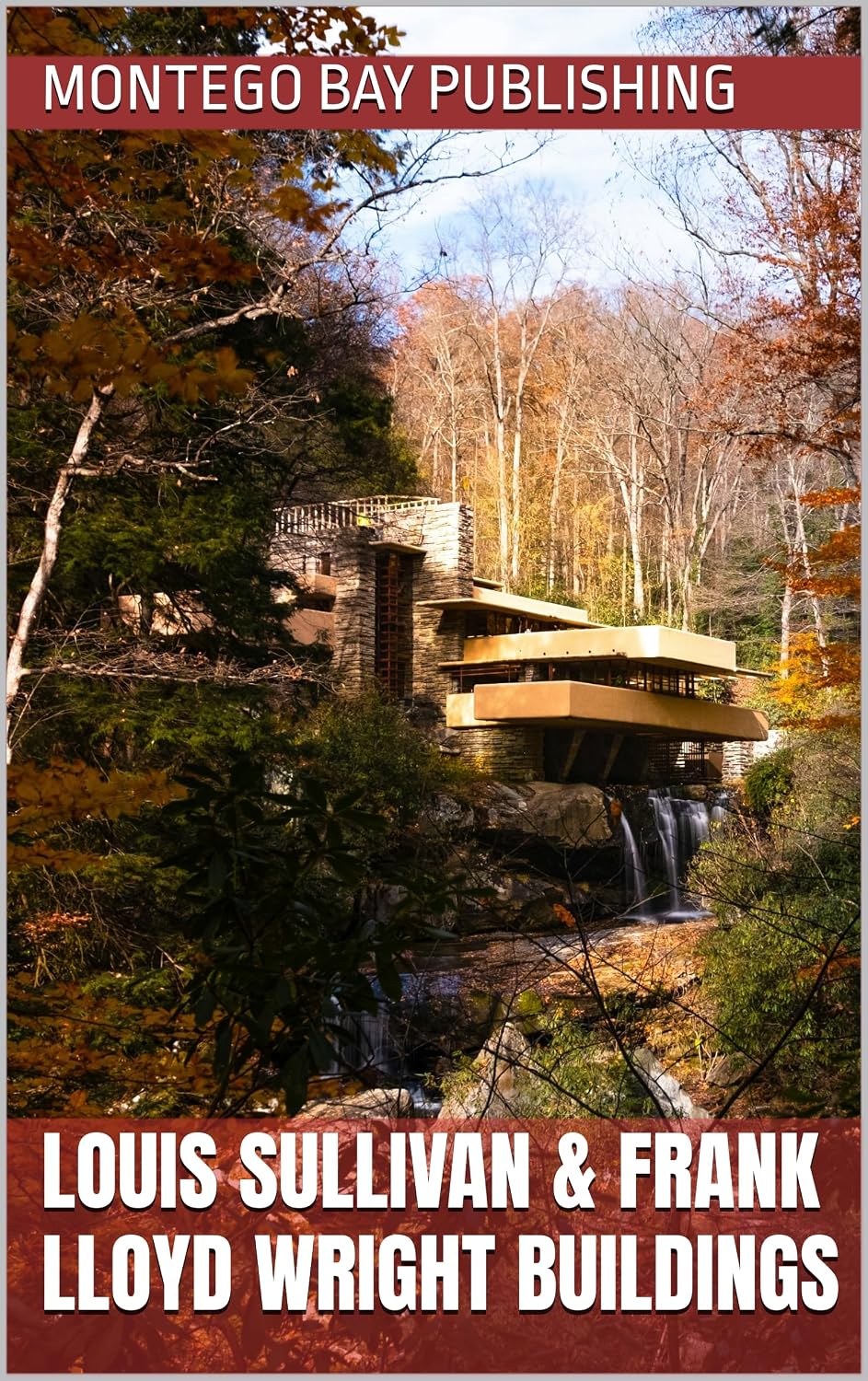 ler totalmente Louis Sullivan & Frank Lloyd Wright Buildings (Organic Architecture) (English Edition)