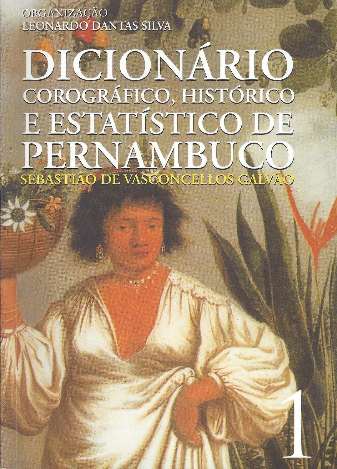 capítulo por capítulo baixar Dicionário Corográfico, Histórico e Estatístico de Pernambuco - 4 Volumes