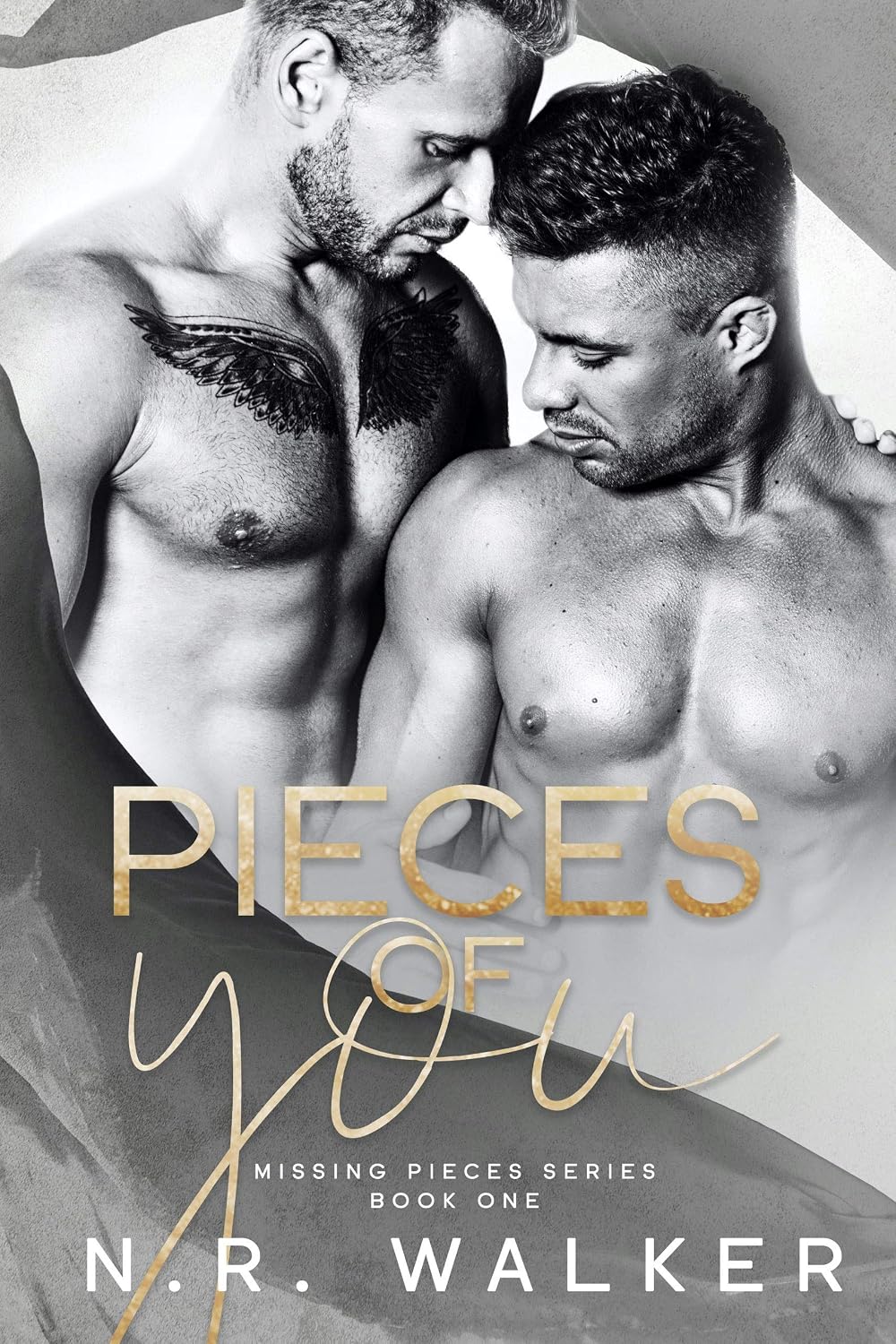 ler totalmente Pieces of You (Missing Pieces Book 1) (English Edition)
