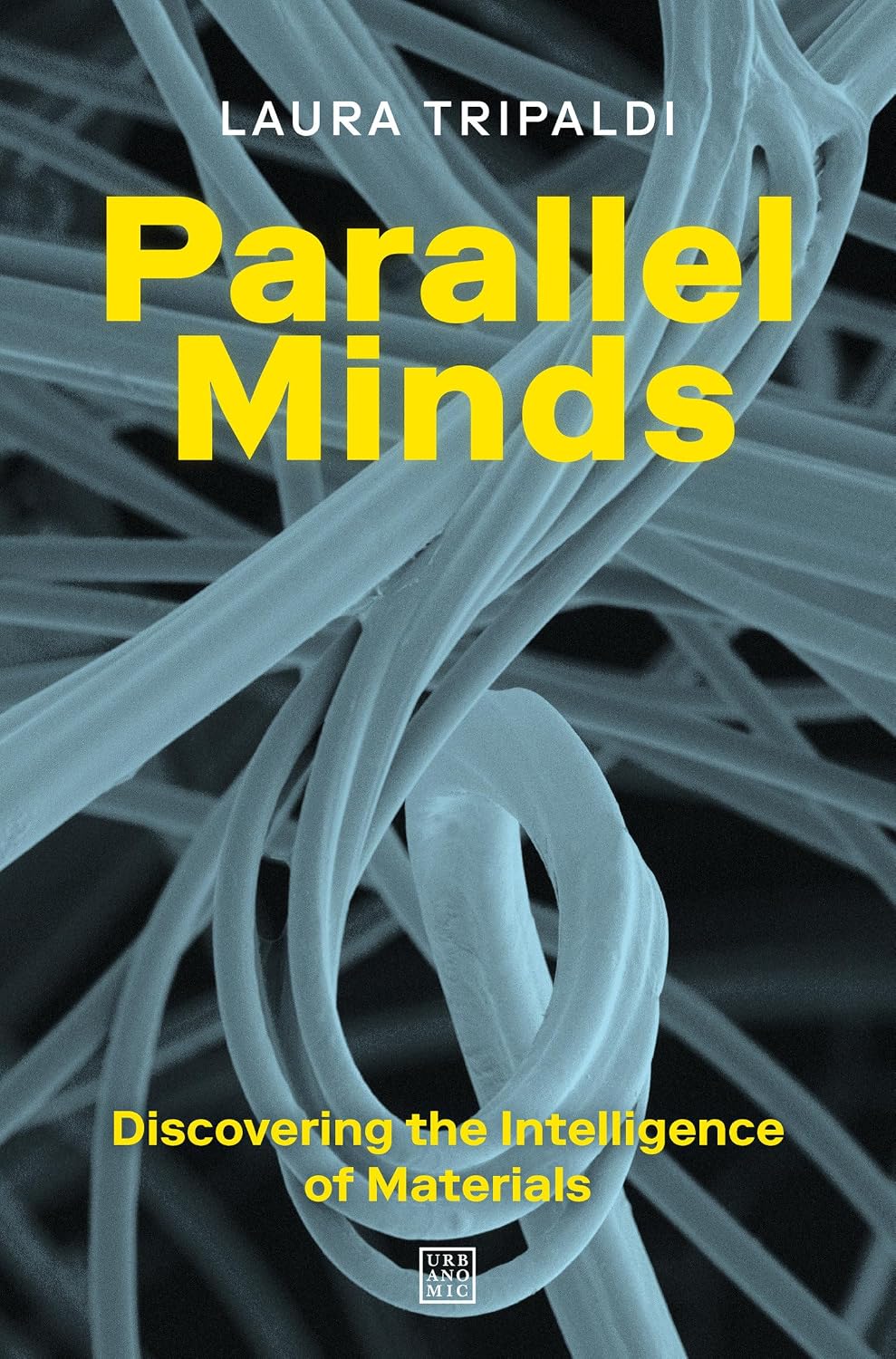 Parallel Minds: Discovering the Intelligence of Materials baixar o livro de graça
