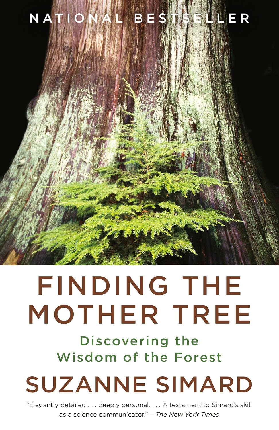 Finding the Mother Tree: Discovering the Wisdom of the Forest baixar o livro de graça
