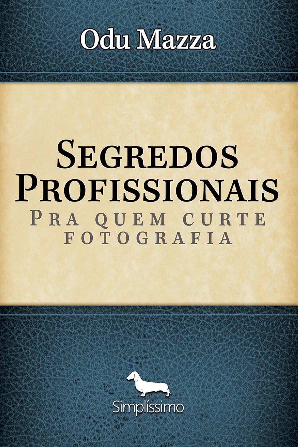 Segredos Profissionais pra quem Curte Fotografia baixar livro de graça