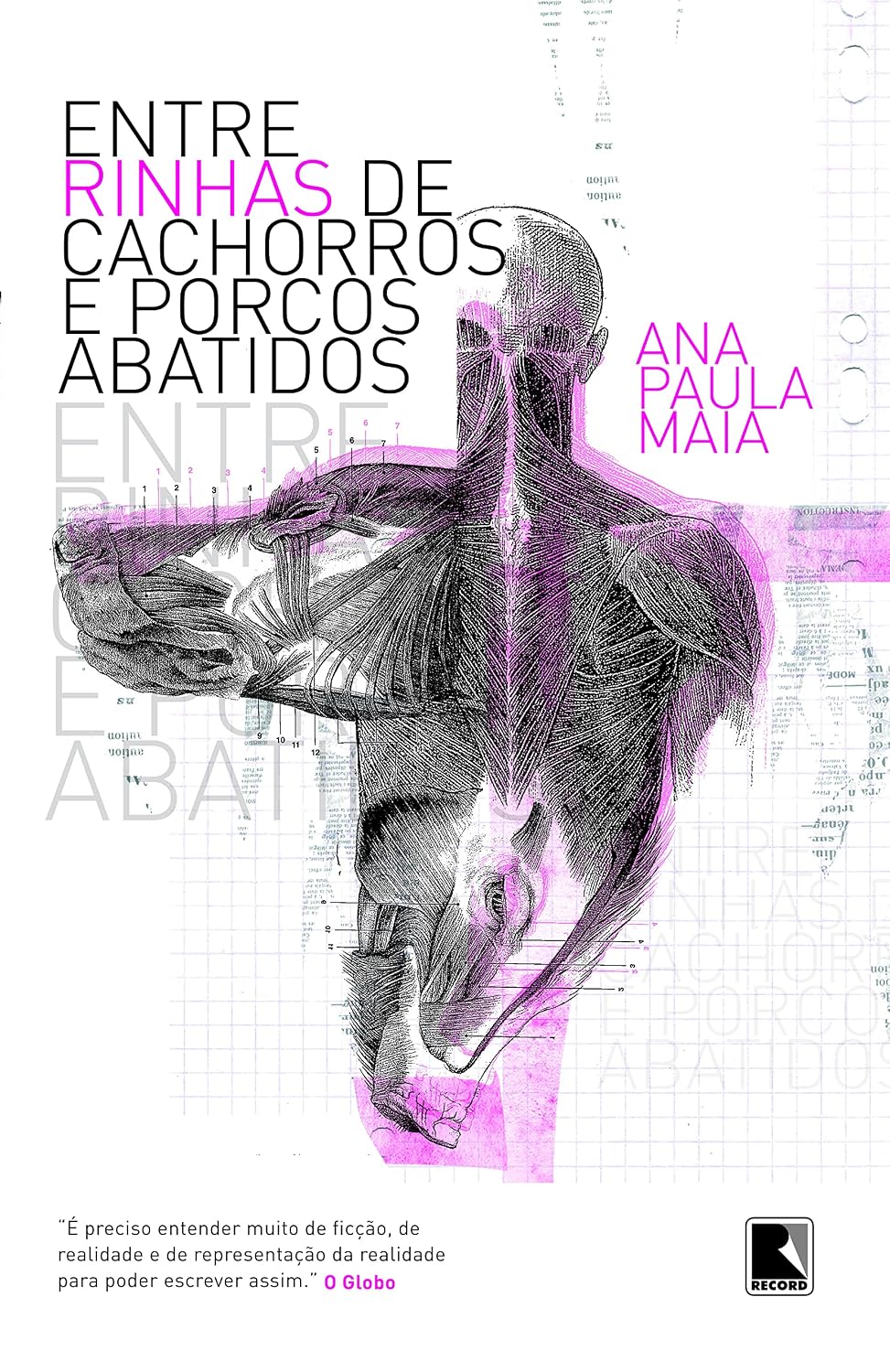 Entre rinhas de cachorros e porcos abatidos baixar livro de graça