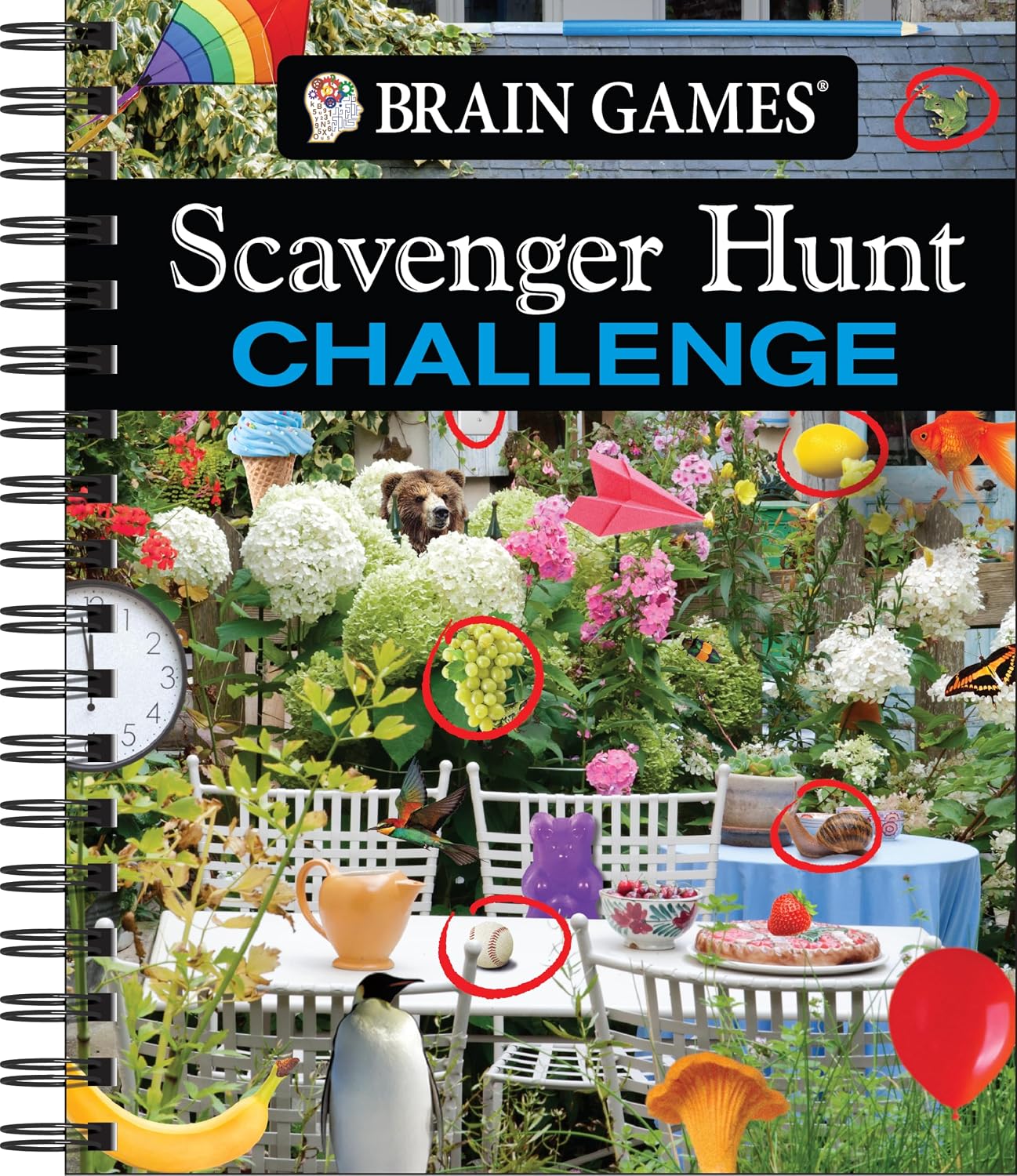 Brain Games - Scavenger Hunt Challenge: Volume 2 baixar o livro de graça