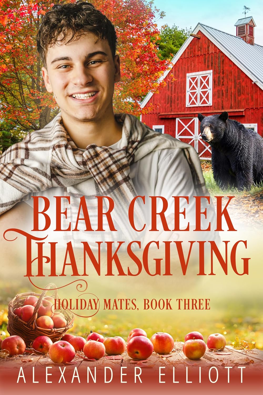 Bear Creek Thanksgiving (Holiday Mates Book 3) (English Edition) baixar o livro de graça