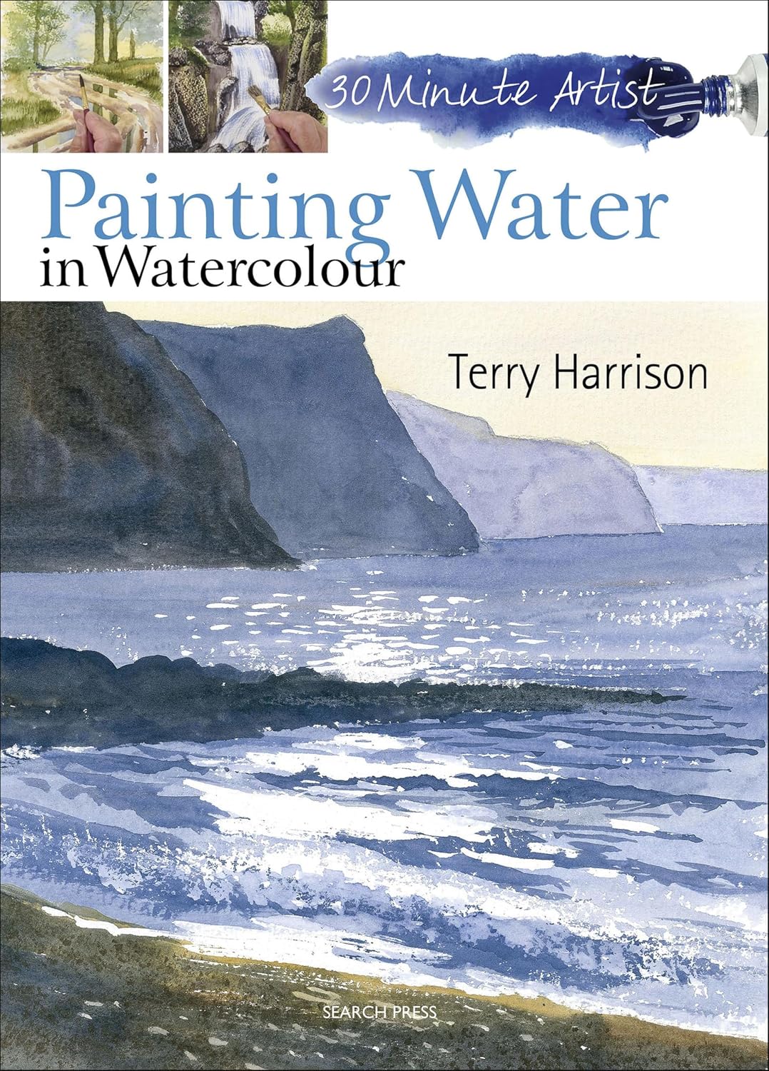capítulo por capítulo baixar Painting Water in Watercolour (30 Minute Artist) (English Edition)
