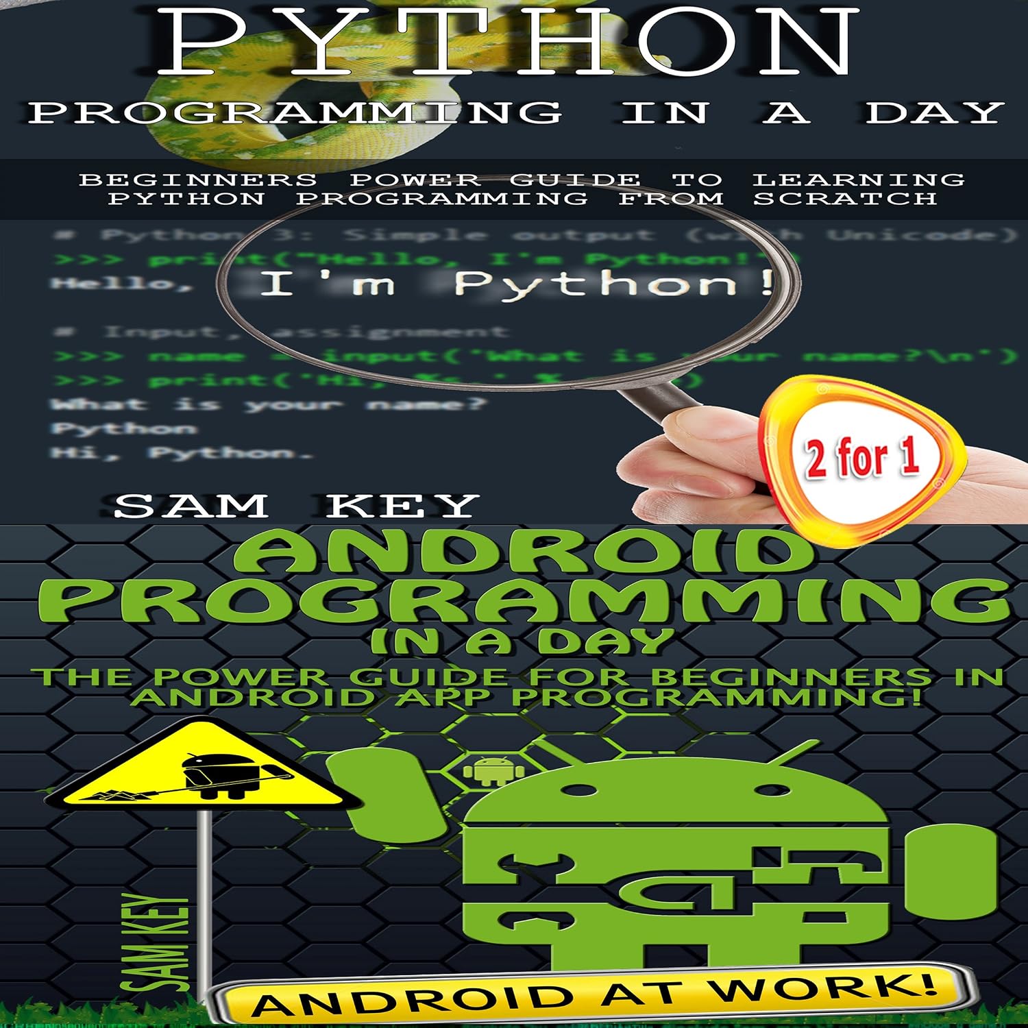 capítulo por capítulo baixar Programming #45: Python Programming Professional Made Easy and Android Programming in a Day