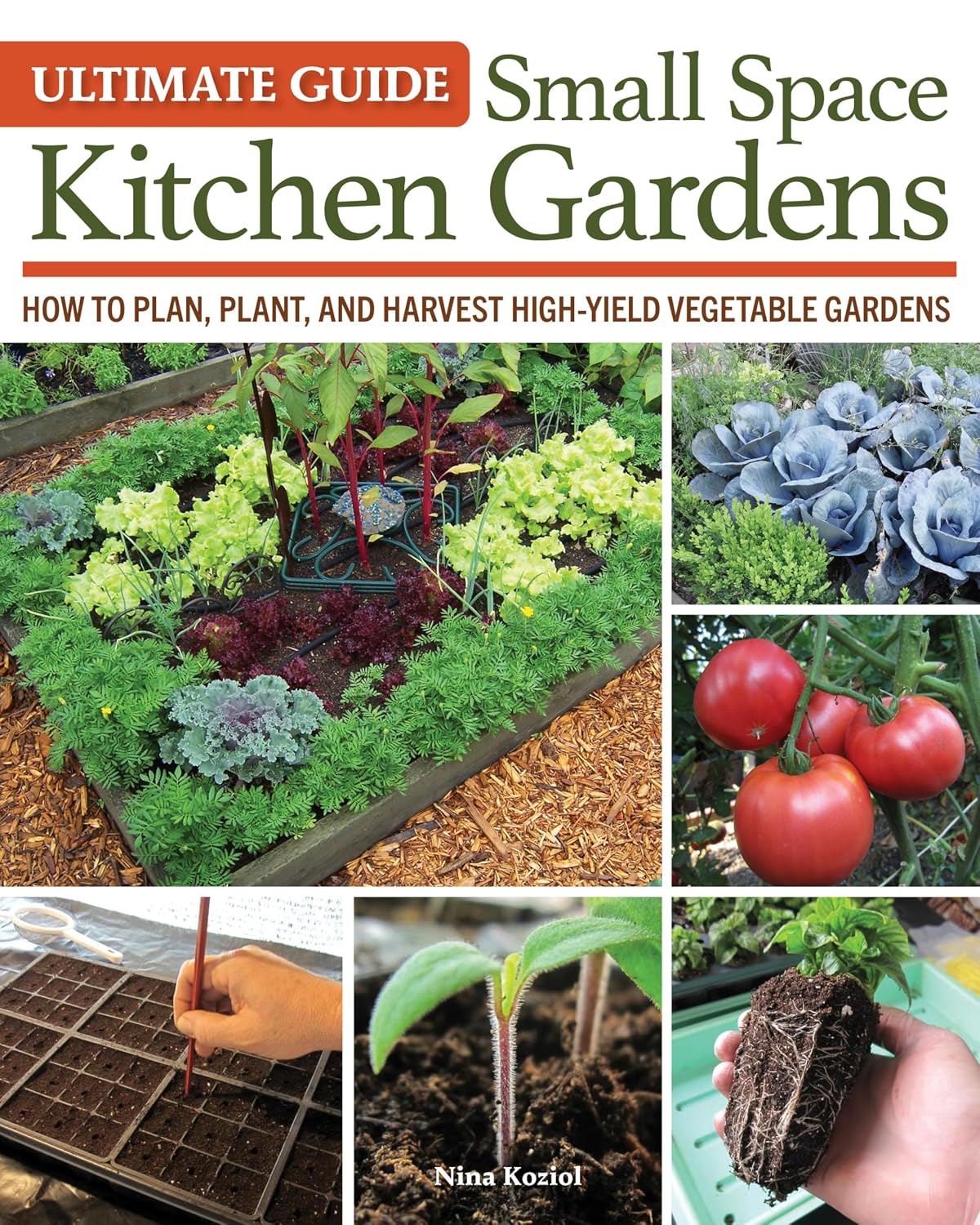 Ultimate Guide: Small Space Kitchen Gardens: How to Plan, Plant, and Harvest High-Yield Vegetable Gardens (English Edition) baixar o livro de graça