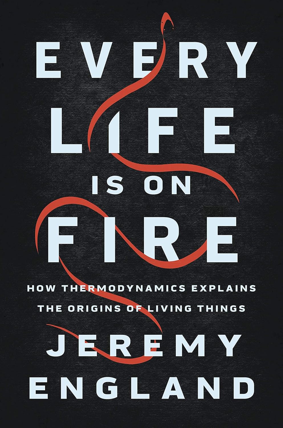 Every Life Is on Fire: How Thermodynamics Explains the Origins of Living Things (English Edition)