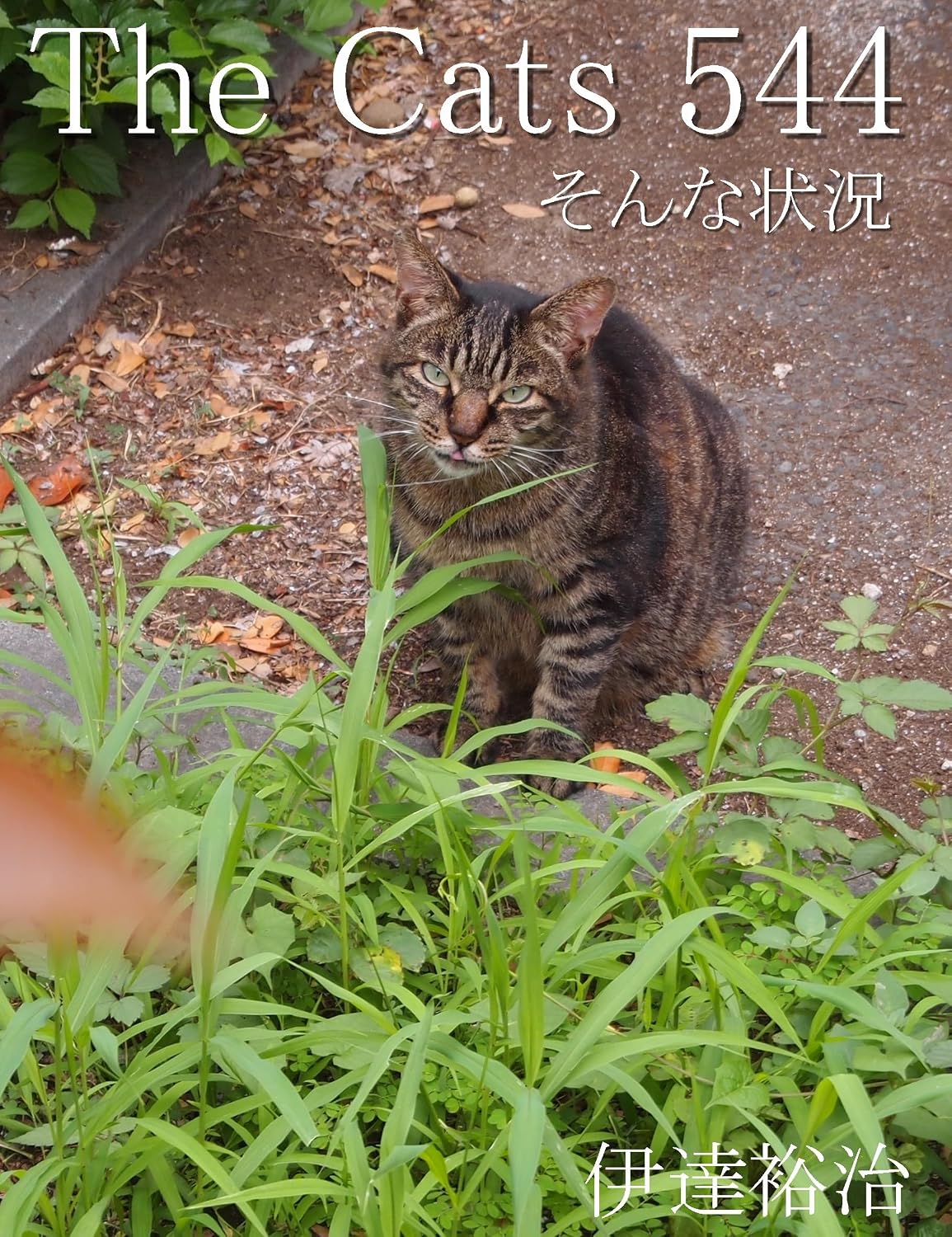 The Cats 544 (Japanese Edition) baixar livro de graça