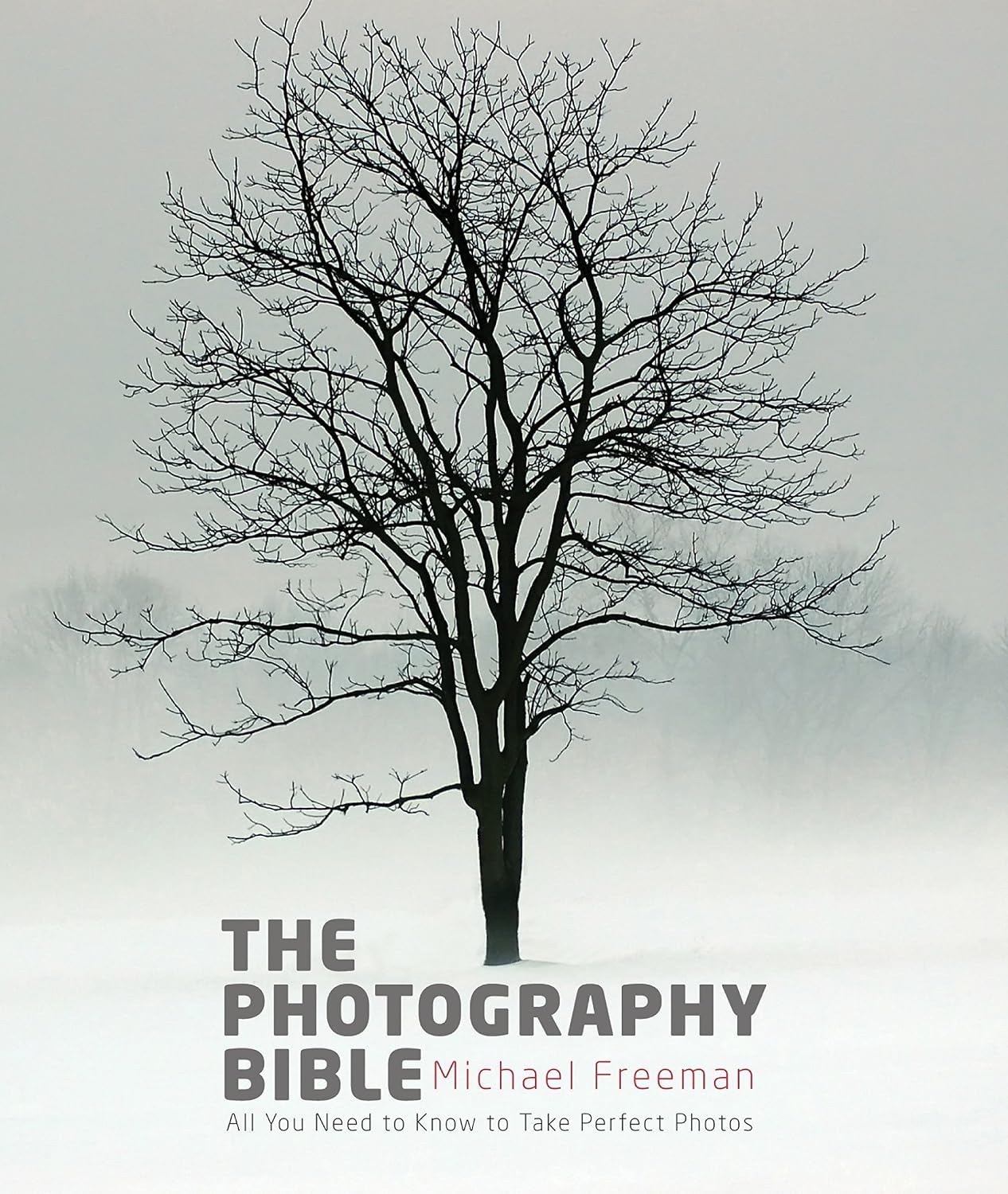 The Photography Bible: Exposure > Light & Lighting > Composition > Digital Editing (Michael Freeman's Photo School) (English Edition) baixar o livro de graça