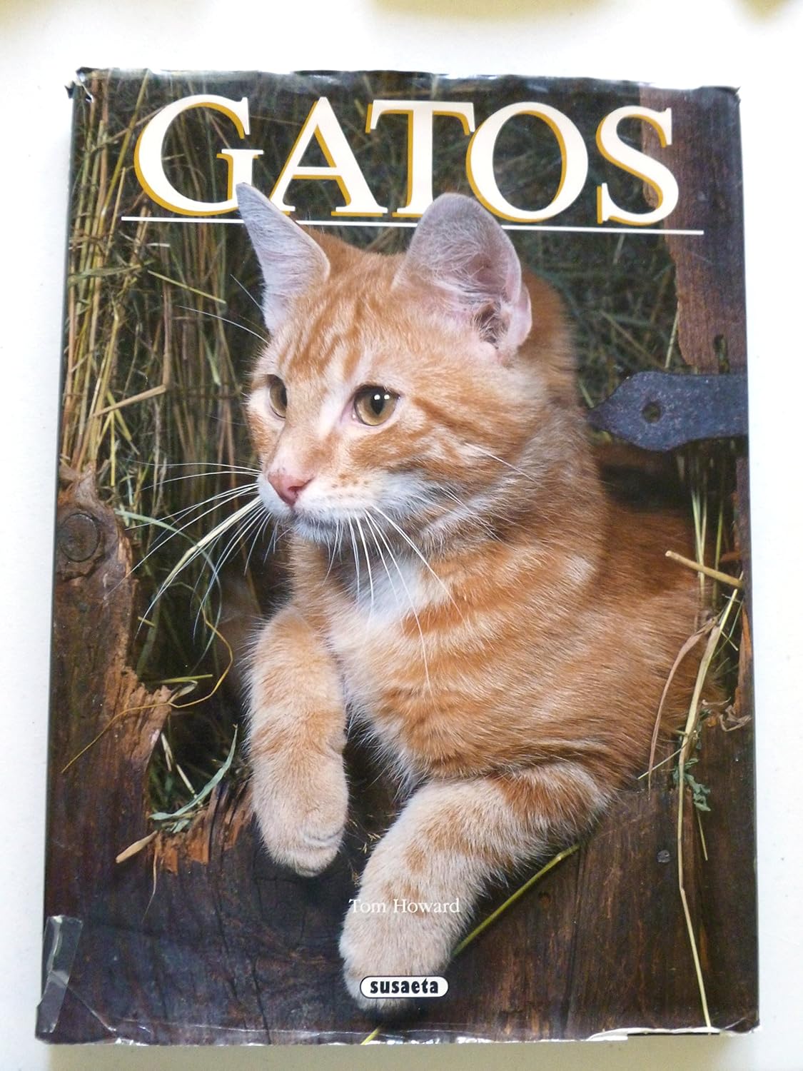 Cats (Mg96) baixar livro de graça