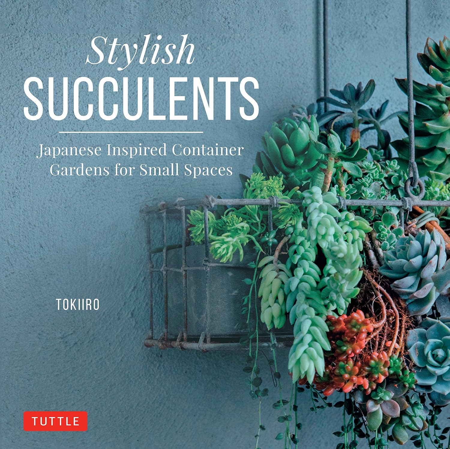 capítulo por capítulo baixar Stylish Succulents: Japanese Inspired Container Gardens for Small Spaces (English Edition)