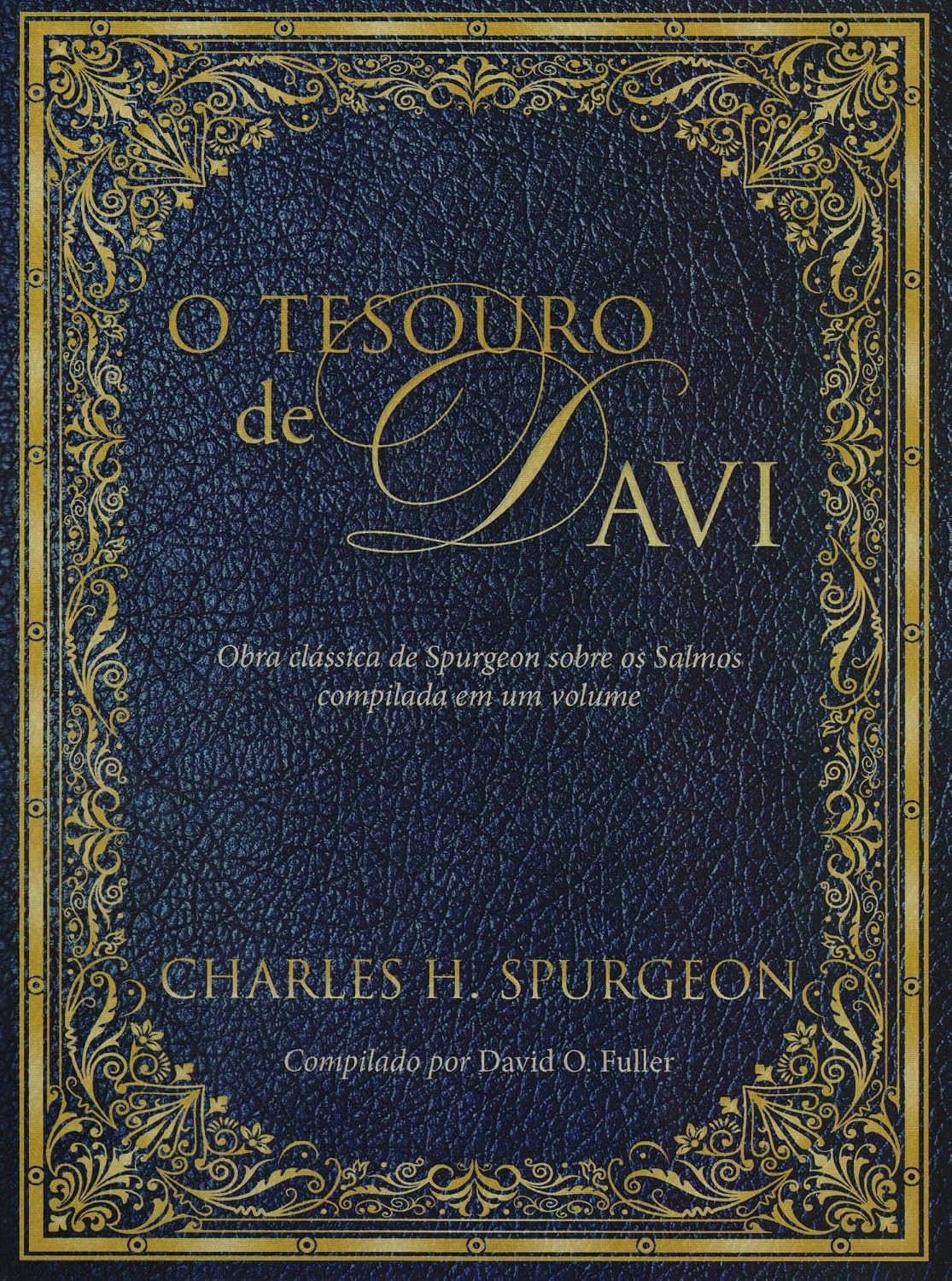 O Tesouro de Davi: Obra Clássica de Spurgeon Sobre os Salmos Compilada em um Volume: Obra clássica de Spurgeon sobre os salmos compilada em um volume baixar livro de graça